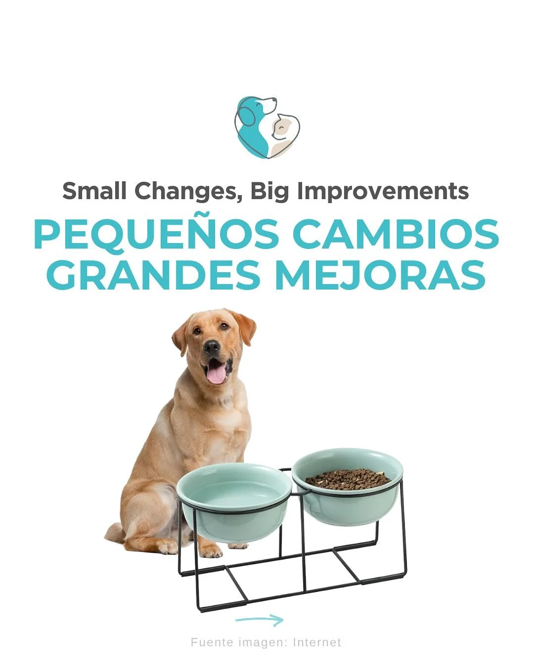 🌟Te dejamos algunos consejos para poner en pr&aacute;ctica en casa ! 

💕 Quieres mejorar la vida de tu peludo? Aqu&iacute; estamos para darte la mejor atenci&oacute;n! 🤗🐶

#soulvetmallorca #fisioterapiaveterinaria #fisiovet #animalsenior #perrose