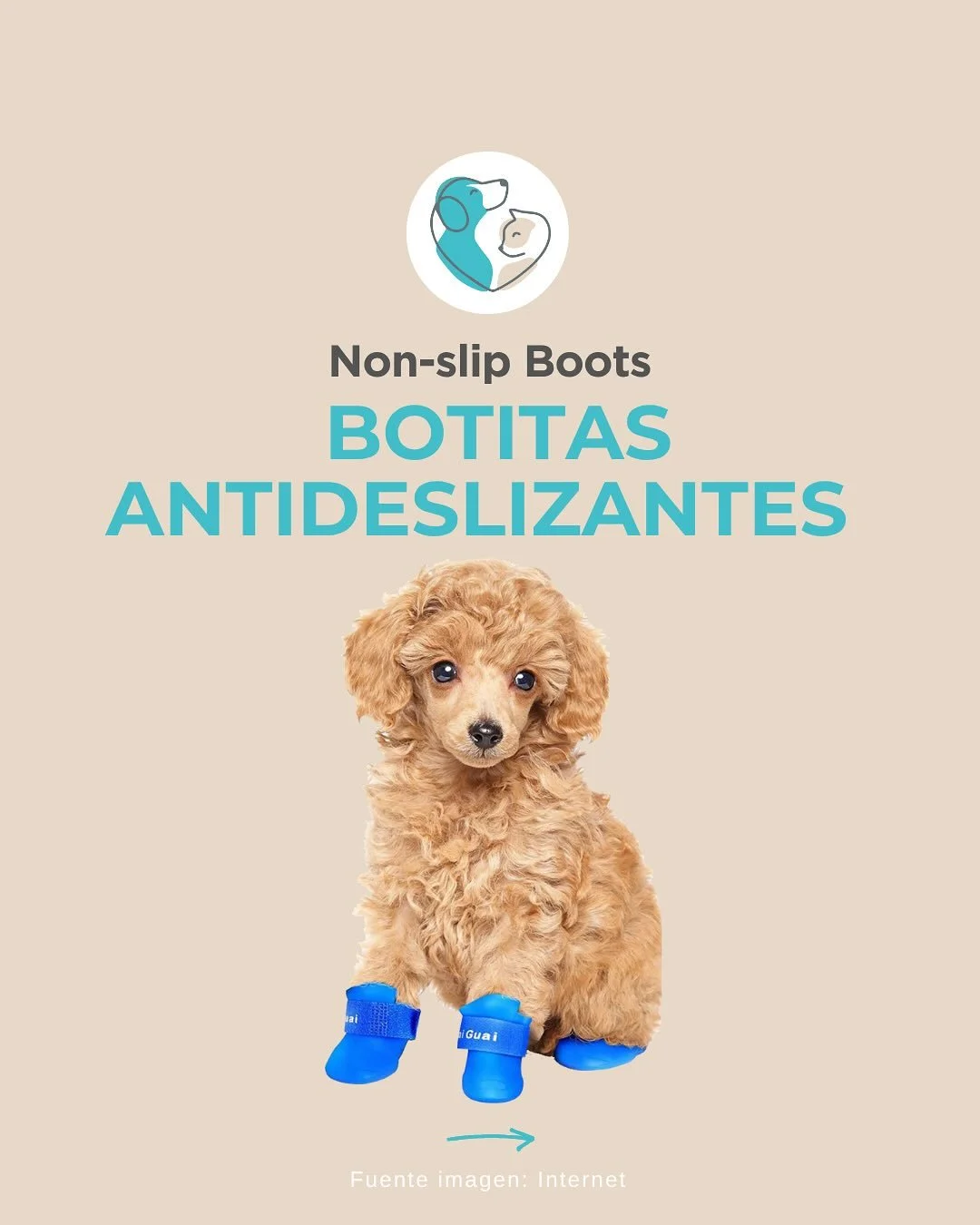 Hoy traemos esta s&uacute;per idea para implementar en casa ! 💫🐶🏠

Tu perrete se resbala cuando camina ? ➡️ Prueba con estas botas antideslizantes🥾.. que ademas de verse s&uacute;per guapo, le ayudar&aacute;n much&iacute;simo!! 💖🐾

#soulvetmall