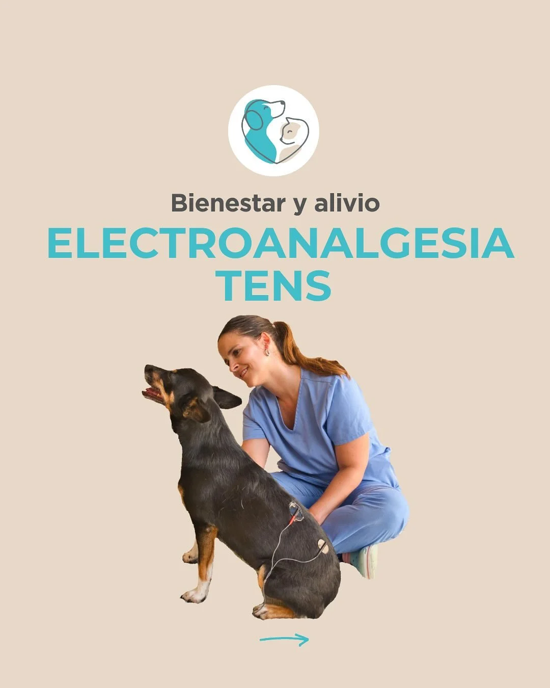 Seguro que ya conoces los #tens porque es una t&eacute;cnica que se utiliza mucho en humana 👩👨

➡️ Hoy te explicamos c&oacute;mo funcionan y por qu&eacute; da tan buenos resultados para tratar el dolor en nuestros pacientes 🐶😽

#soulvetmallorca #