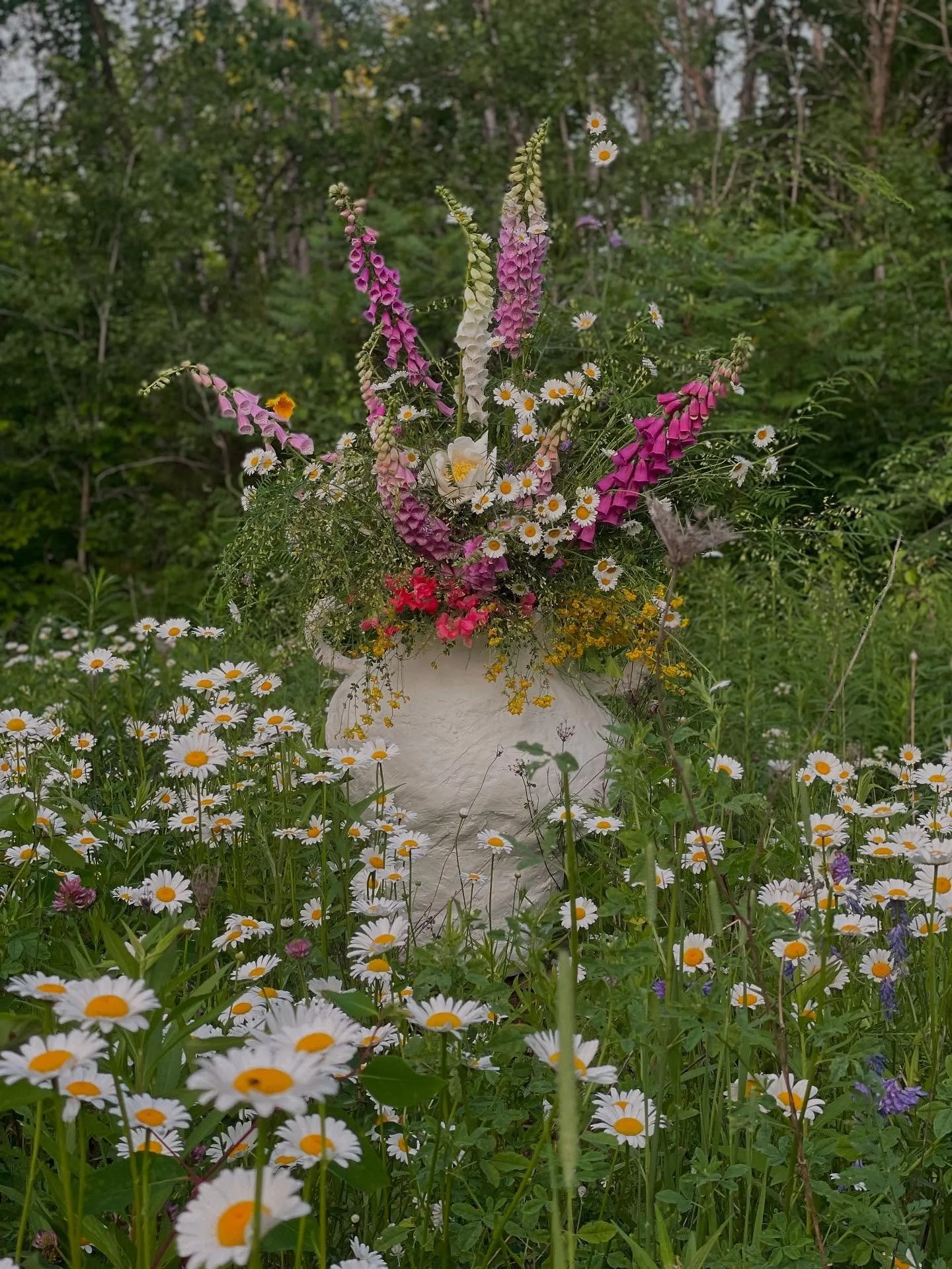 The field was calling.  Oxeye daisies will always call an optimistic morsel. 
.
Grown by Mother Nature and @littlefarmthatcould.  Vase made by me.