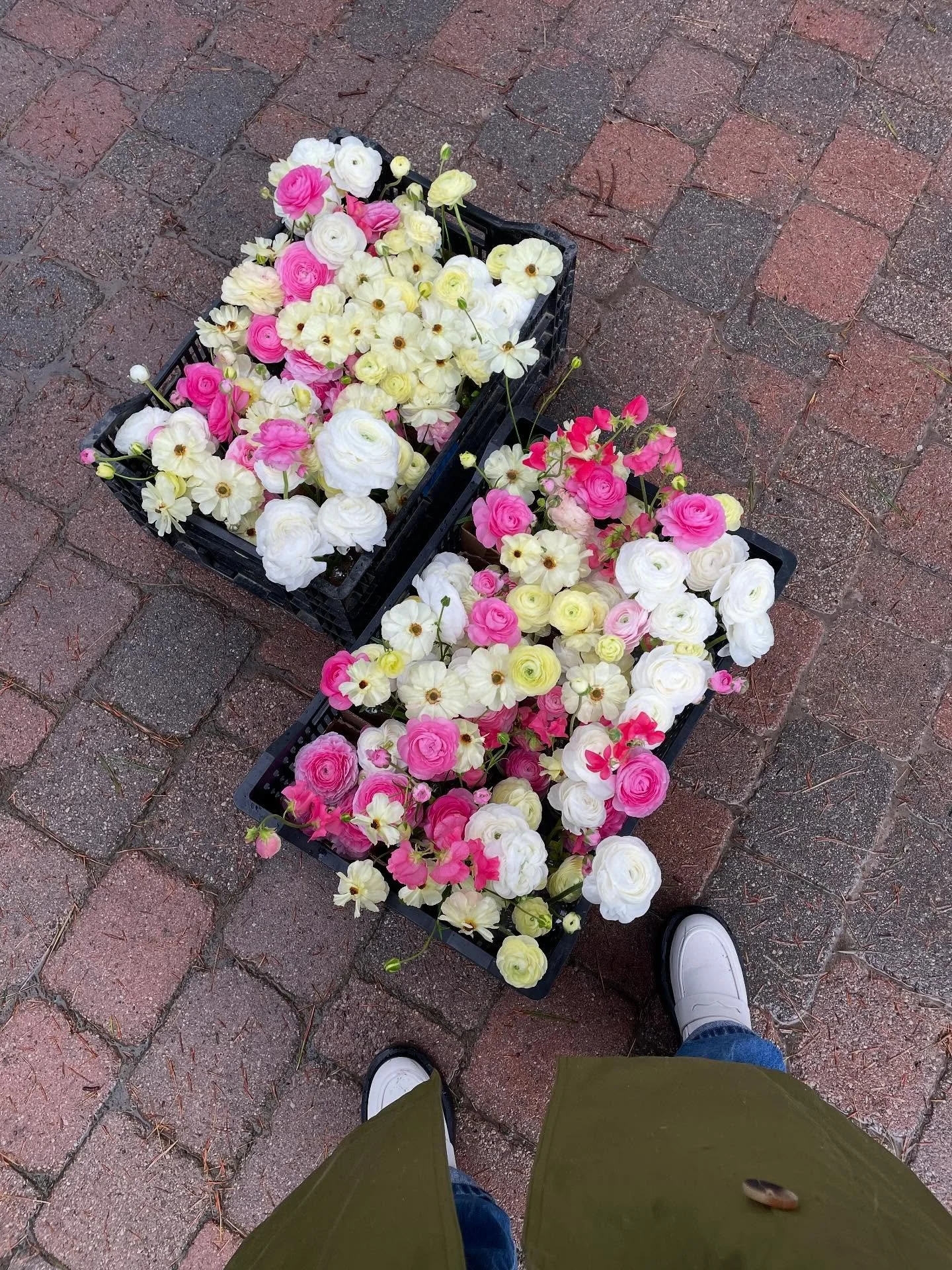 We still out here 💓💓 100% @littlefarmthatcould 
.
World feels heavy.  I&rsquo;ve needed a break but nothing heals like dirt on my hands and the promising shades found in a flower petal.  Love you 💓💓
.
Also ty to the woman who recognized me at fab