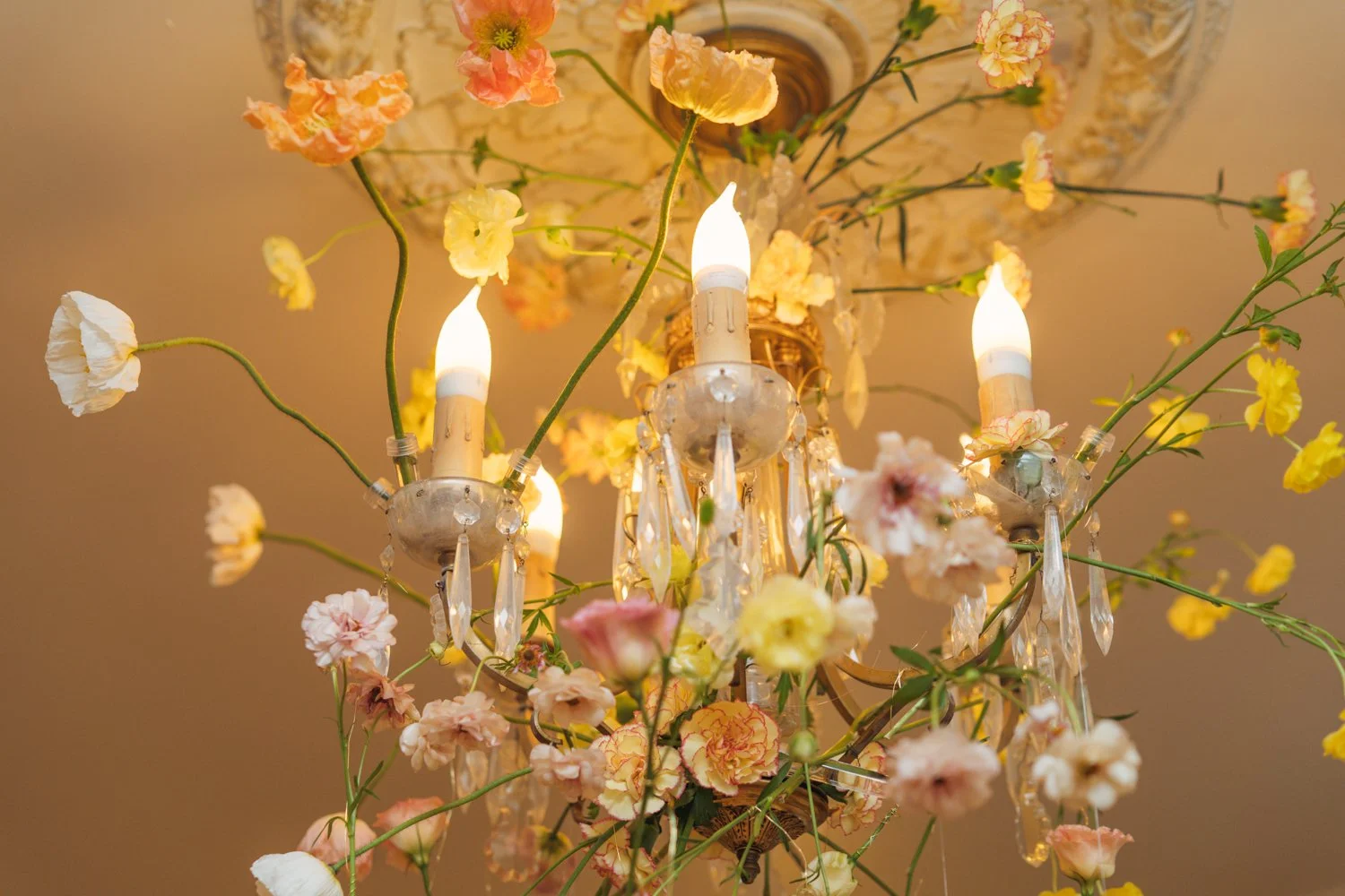 J+ME7_100%localflowers.torontoweddingflorist.ethicalflorist.torontoflorealdesigner.peterborughflorist.p.e.cflorist.jpg.jpg