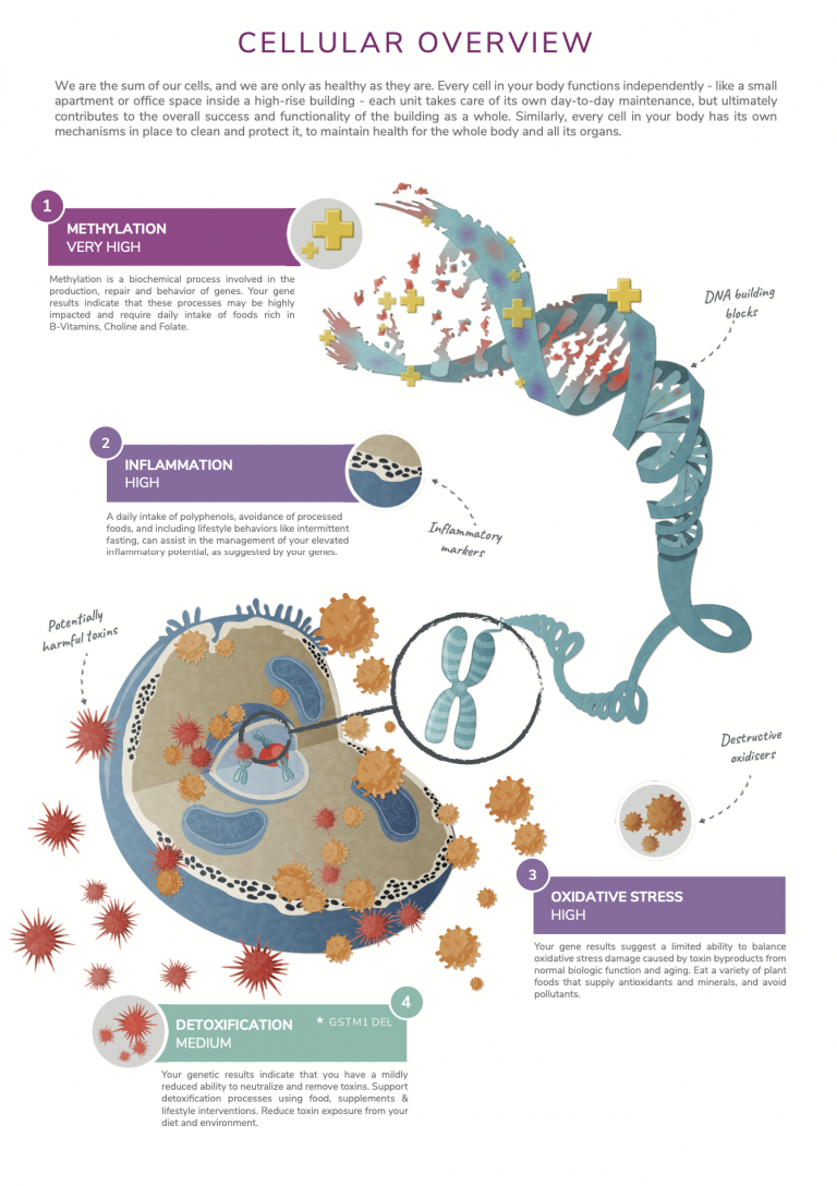 Screen-Shot-2023-02-06-at-10.13.25-AM-768x1088 (1).png