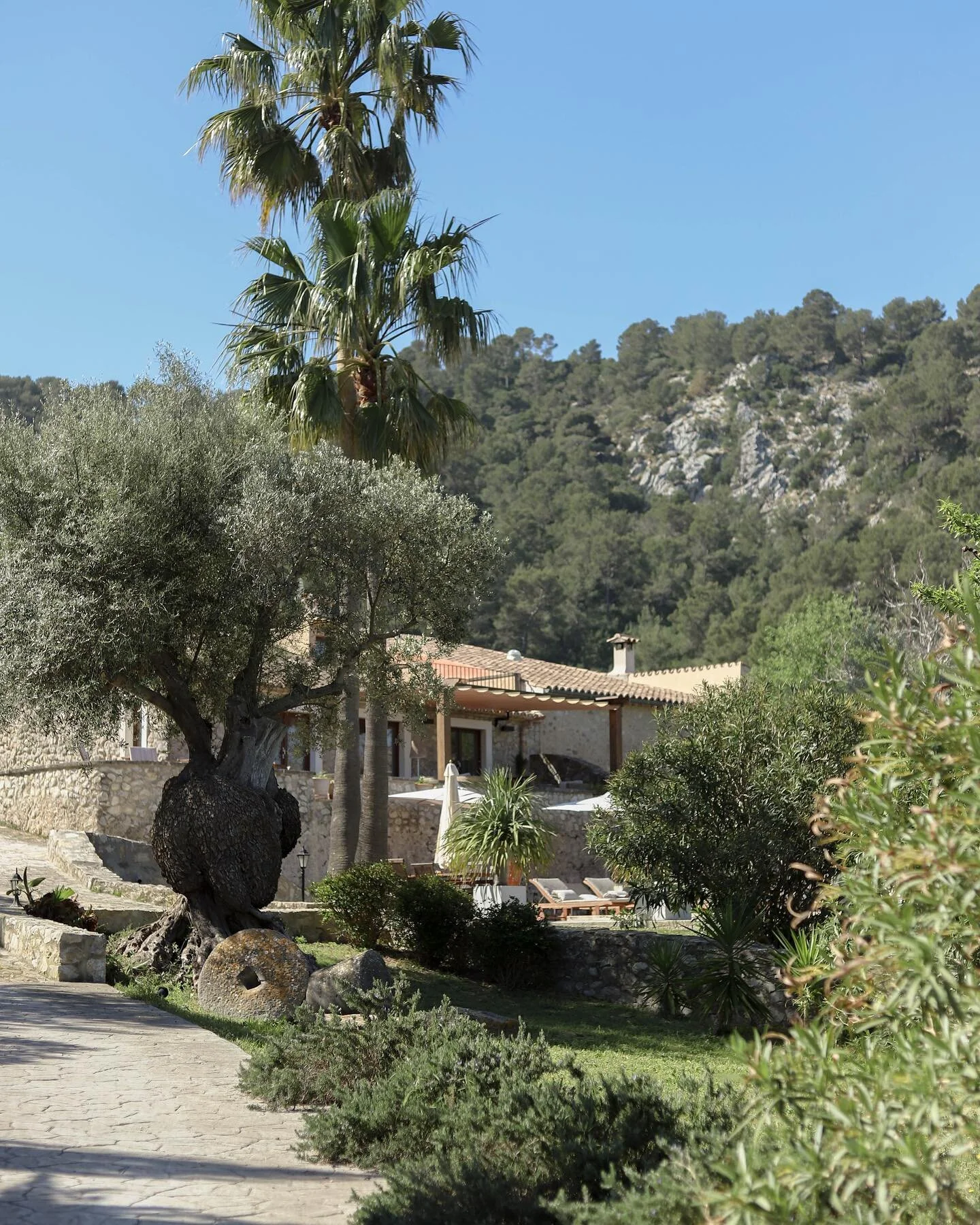 Our beautiful Finca Can Guillo is still part of the nature and we love it. Visit our Finca in Pollensa and find your inner peace&hellip;.  #fincarental #pollensa #mallorca #mallorcalife #mallorcavacation #rentalproperty #pool #vacationhome #relaxatio