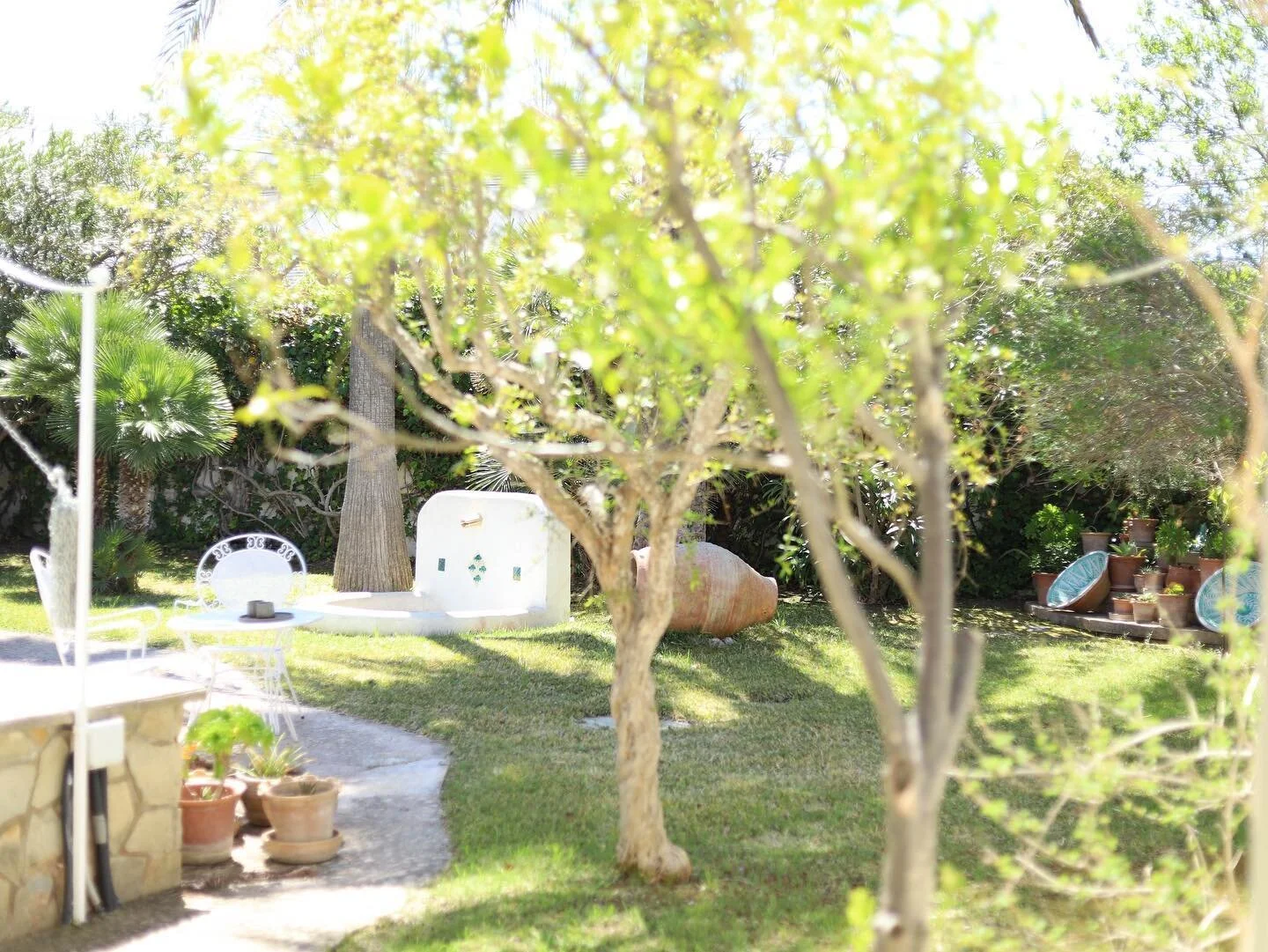 Villa Can Llompart 🌳🌿 #puertopollensa #mallorca #fincapollensa #luxuryfinca #holiday #fincarental #pollensa  #mallorcalife #mallorcavacation #rentalproperty #pool #vacationhome #relaxation #travel #summergetaway #familyvacation #luxurytravel #natur
