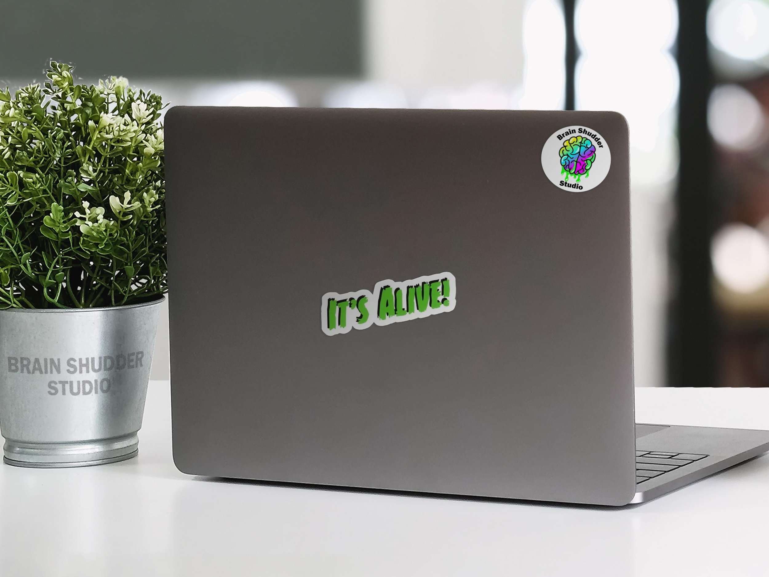 https://i.etsystatic.com/41680236/r/il/65c7b2/6769521837/il_fullxfull.6769521837_4hjb.jpg