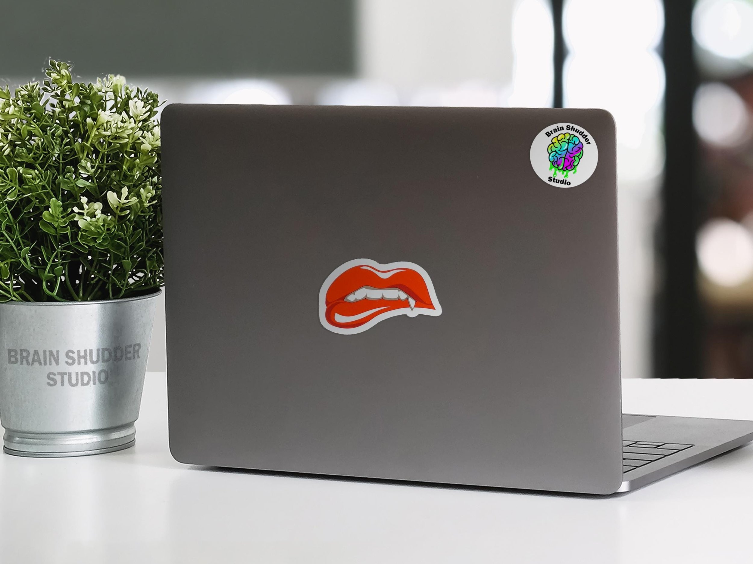 https://i.etsystatic.com/41680236/r/il/cda885/6769530281/il_fullxfull.6769530281_nx5d.jpg