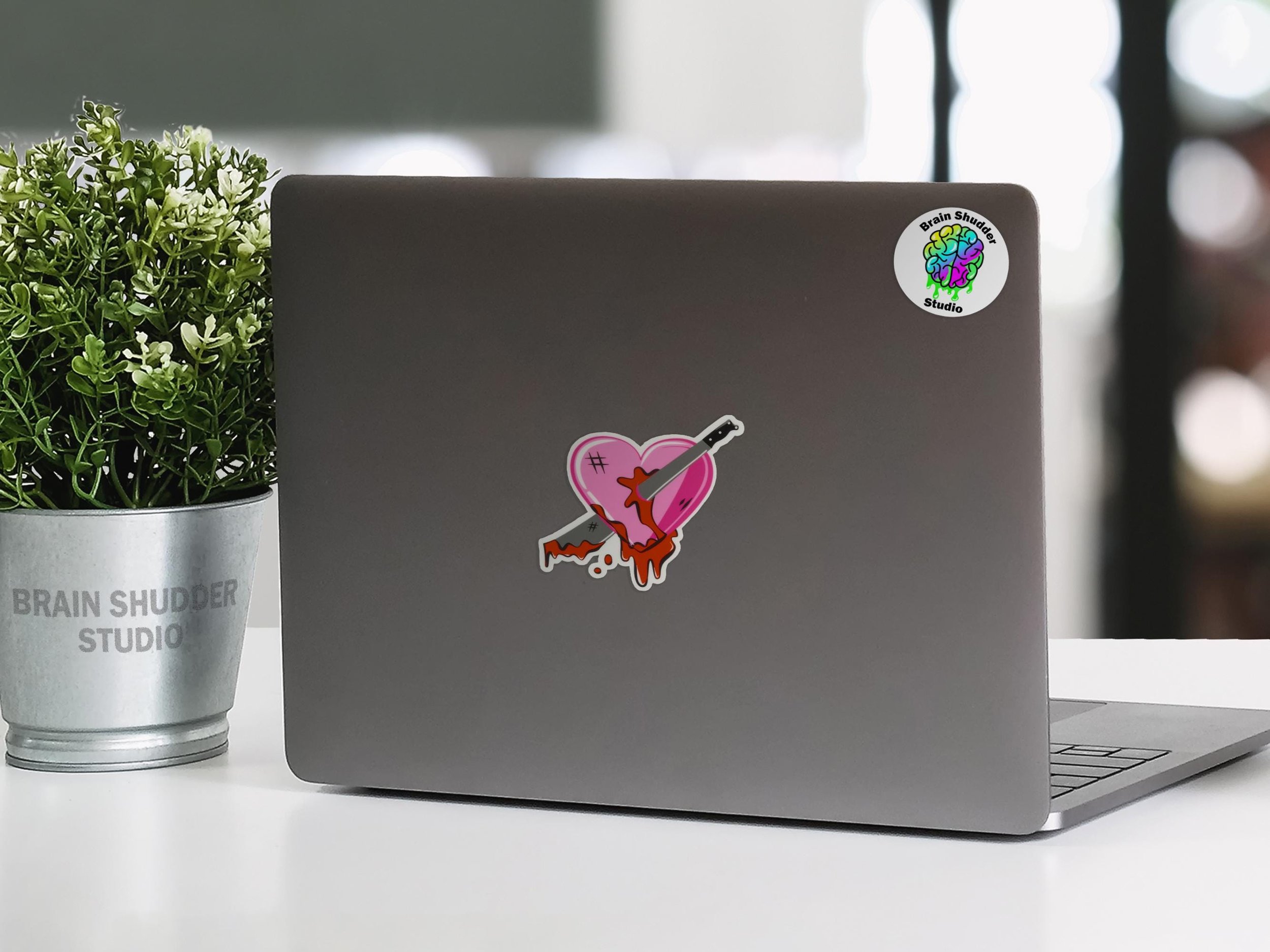 https://i.etsystatic.com/41680236/r/il/803f8c/6769322925/il_fullxfull.6769322925_ewn2.jpg