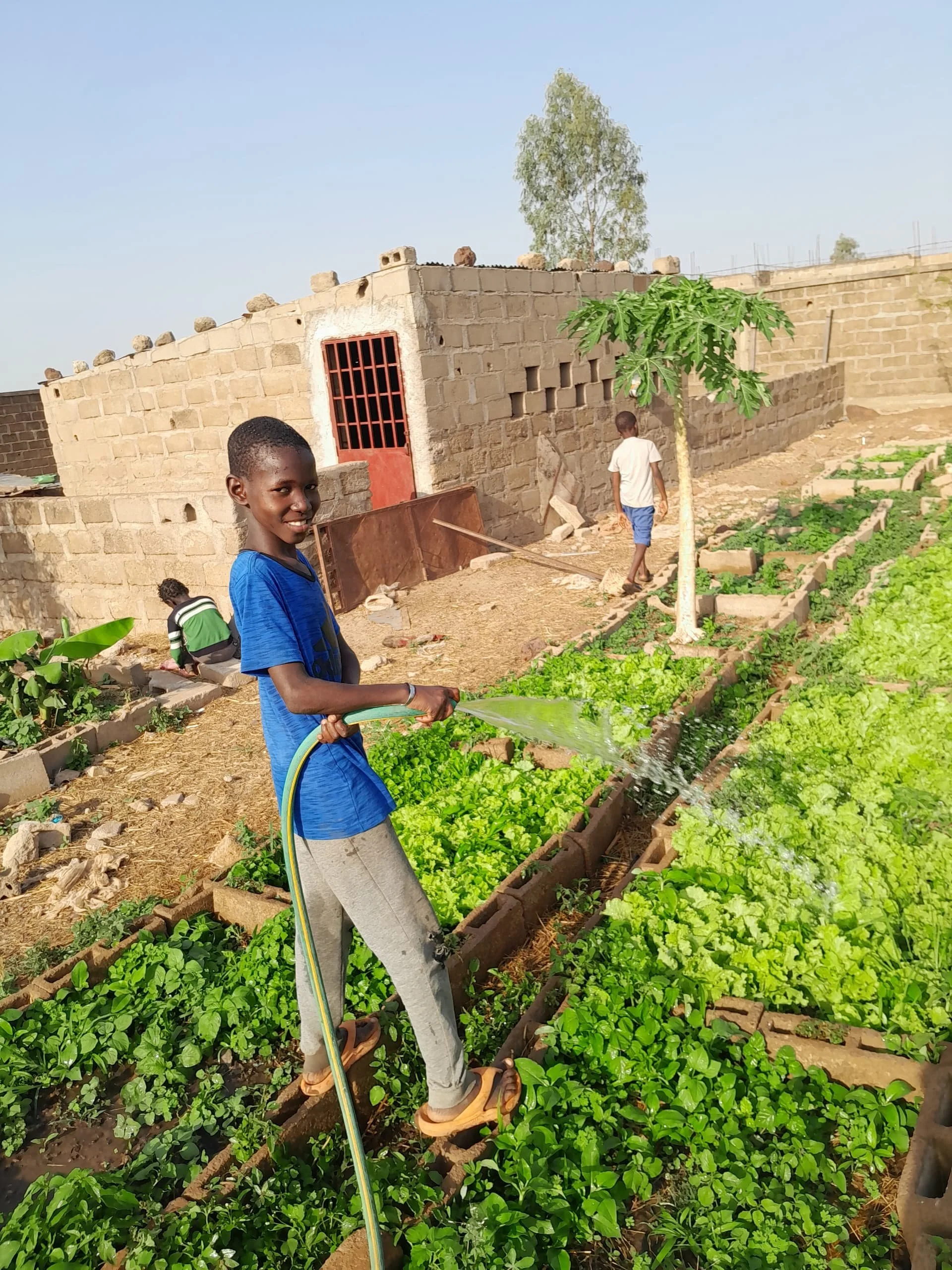 Copy of Mamadou Bah Watering The Garden (1).jpeg