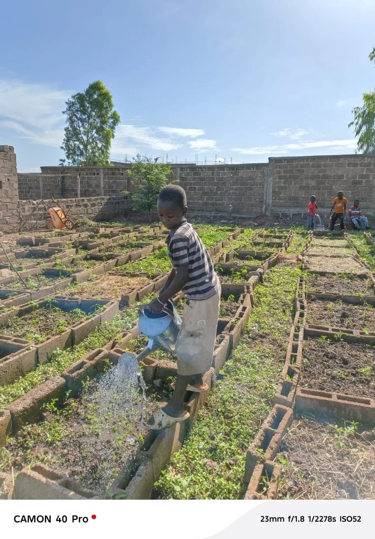 Mamadou watering the tomato and pepper beds.jpeg