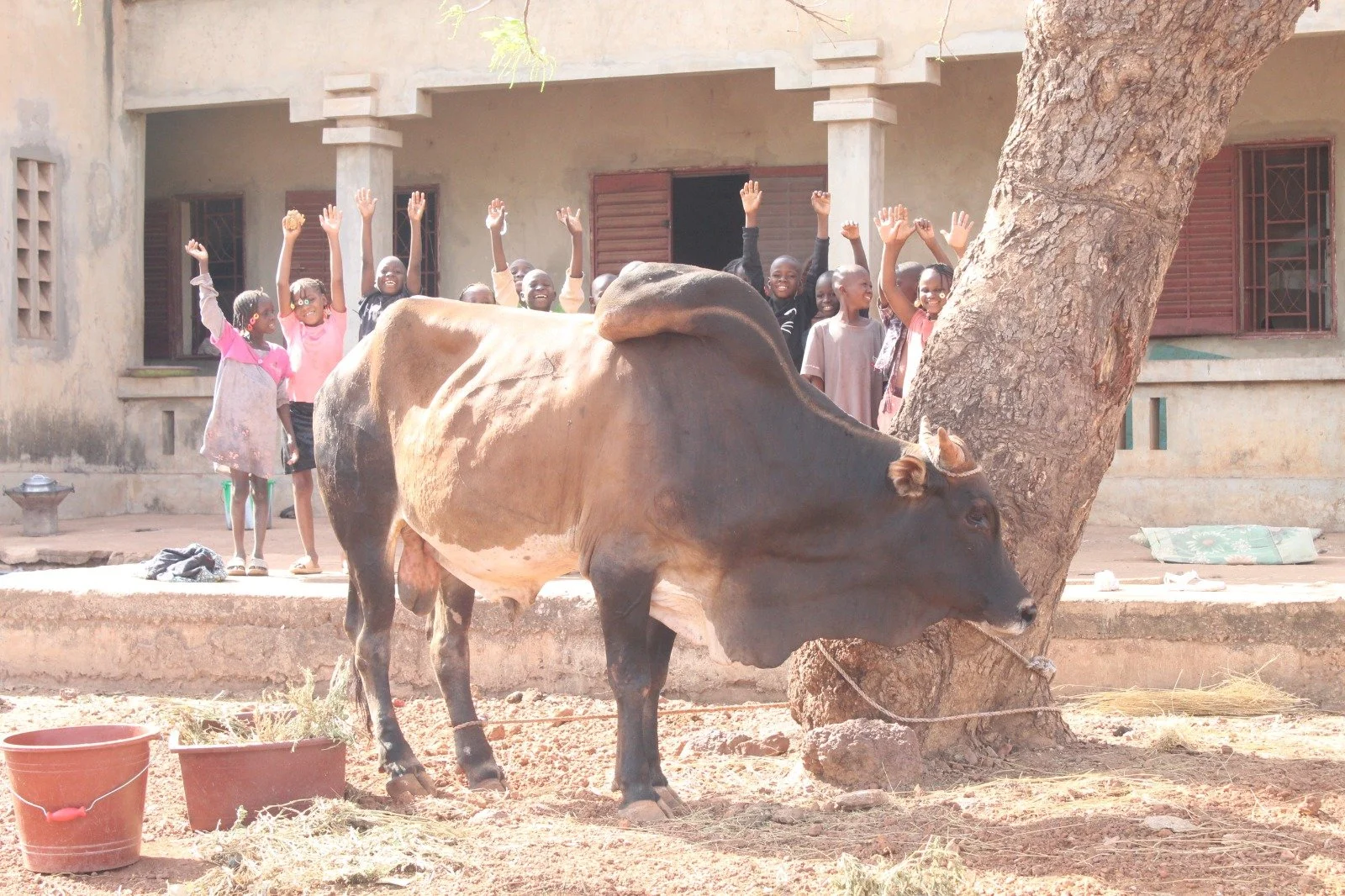 PHOTO-2026-03-22-14-43-33 (1).jpg