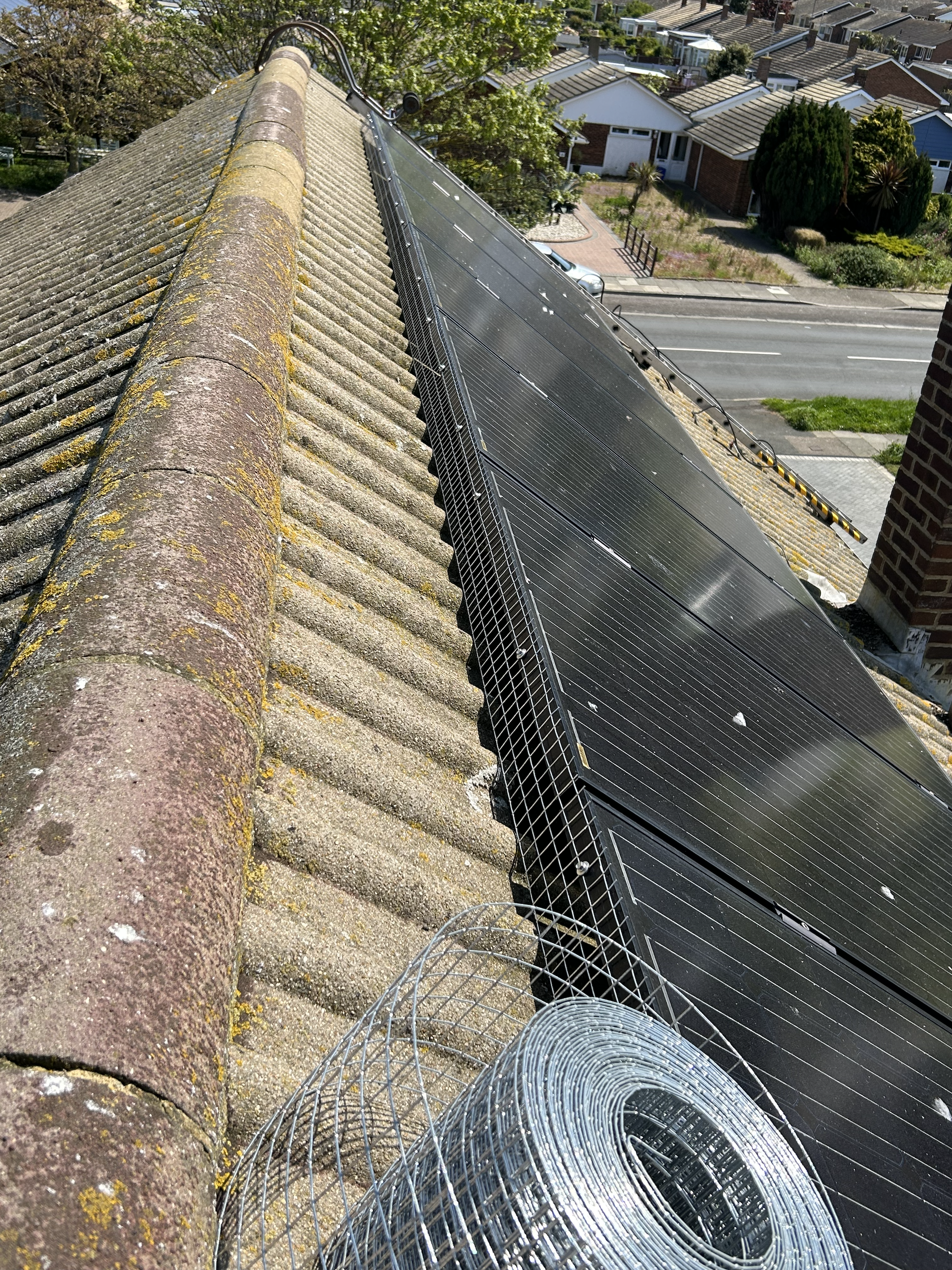 bird-proofing-gallery.png