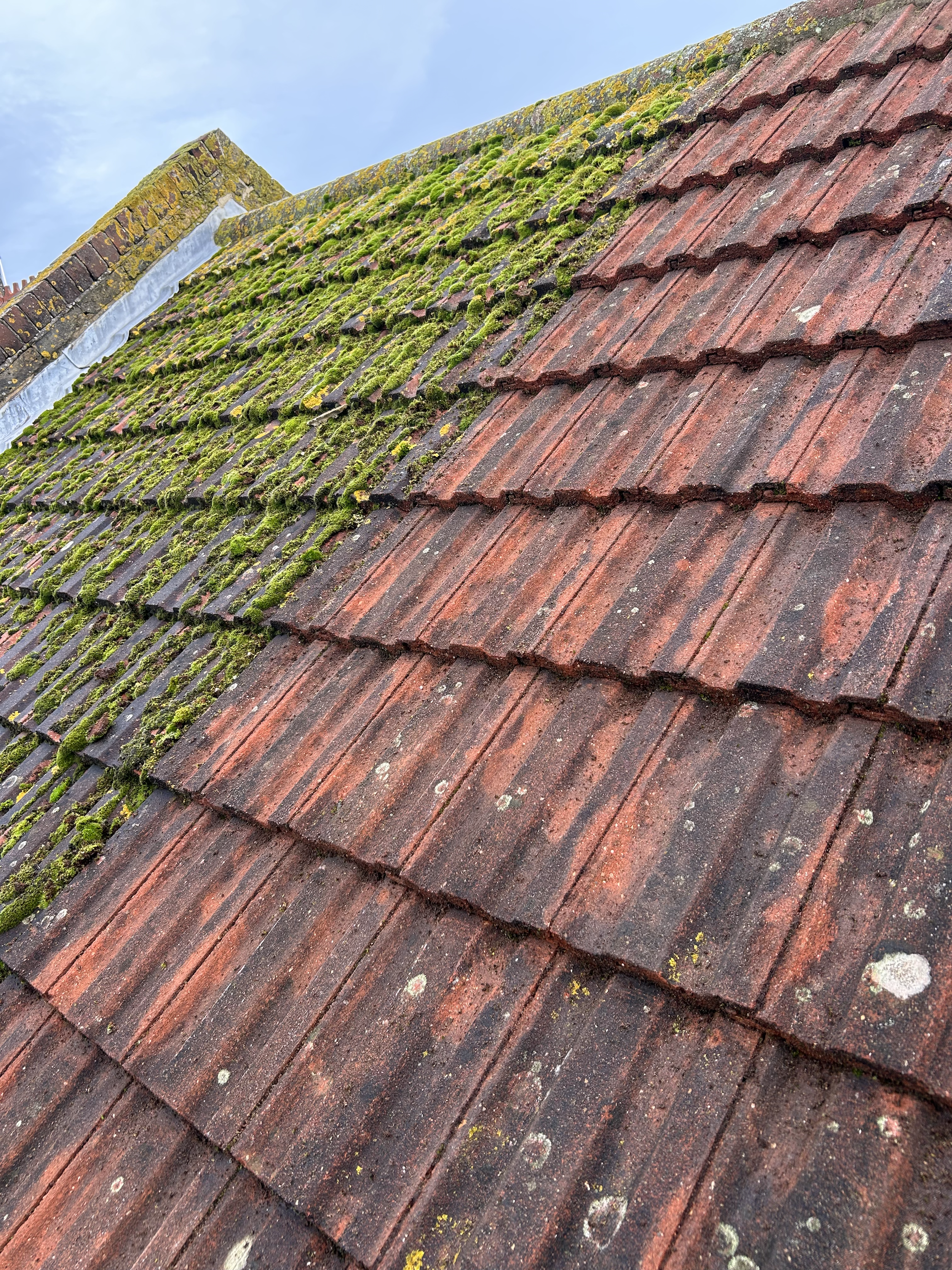 roof-moss-removal-2-gallery.png