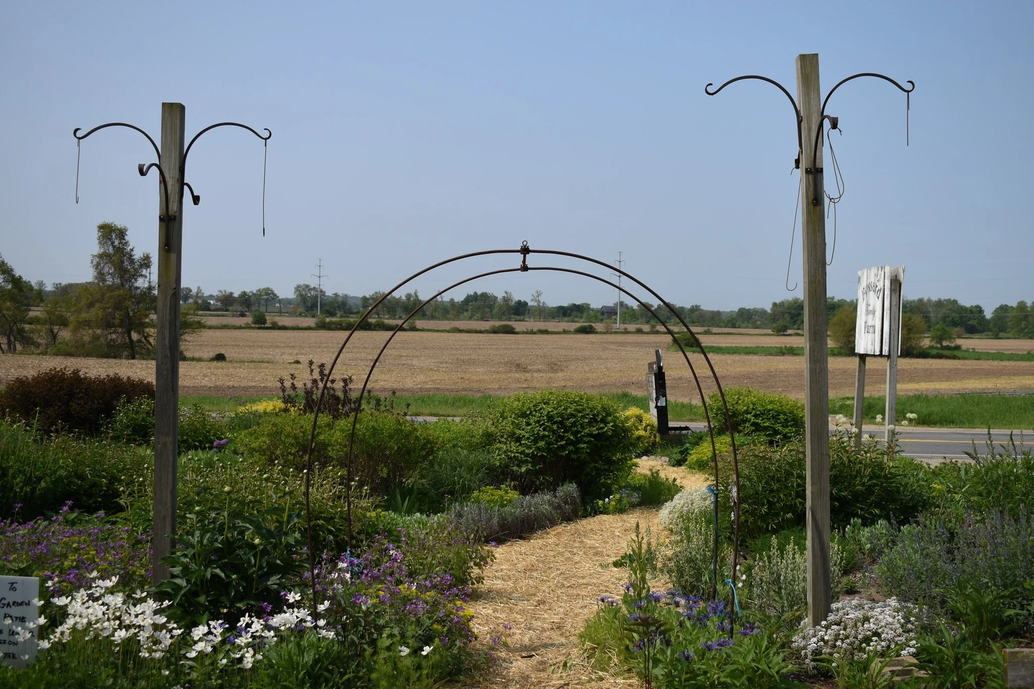 DSC_0002.jpg
