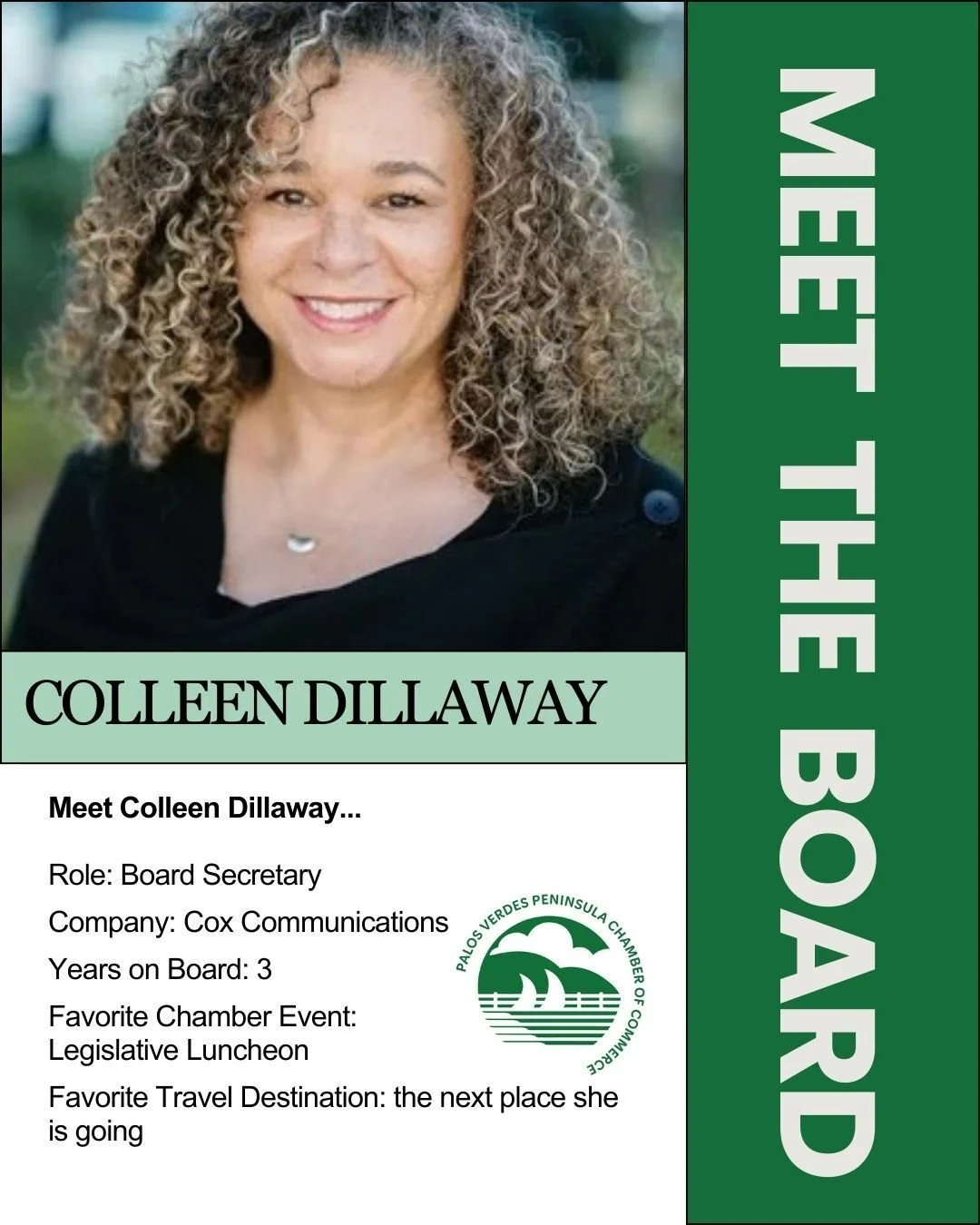 Meet Board Member, Colleen Dillaway
Colleen serves as Secretary for the Palos Verdes Peninsula Chamber of Commerce and has been an active member of the board for the past three years. She brings her leadership experience from Cox Communications where