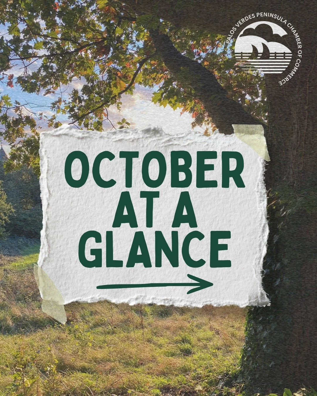 There's a lot happening on the Peninsula this month! 🍂☕️ Swipe through for everything on the calendar - from breakfasts and lunches to a brand-new event series that we're kicking off with the City of Rancho Palos Verdes.

Head to the Events tab at p