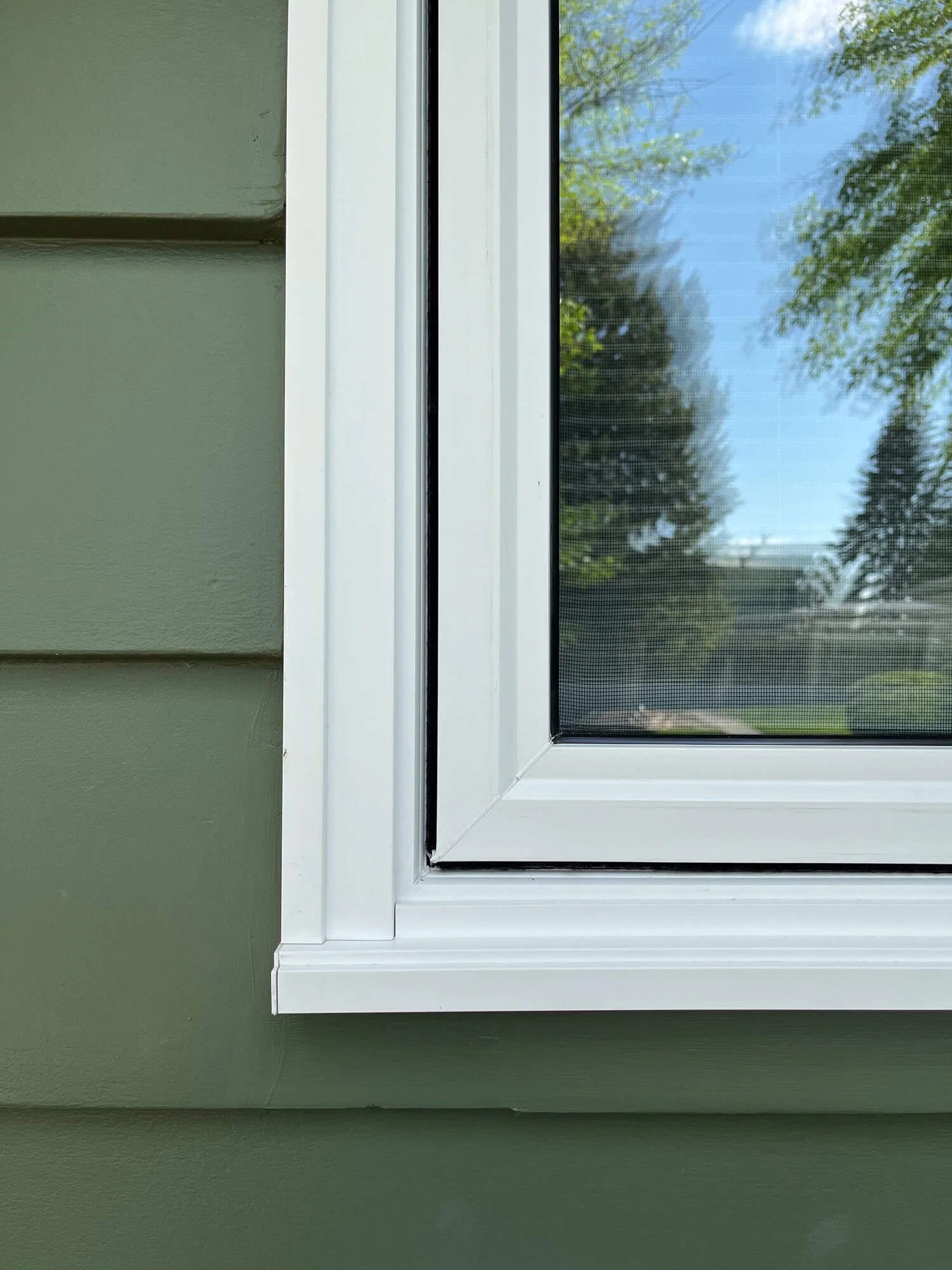 Close-up of a white window frame with a mesh screen, set against green house siding, with trees and blue sky visible outside.