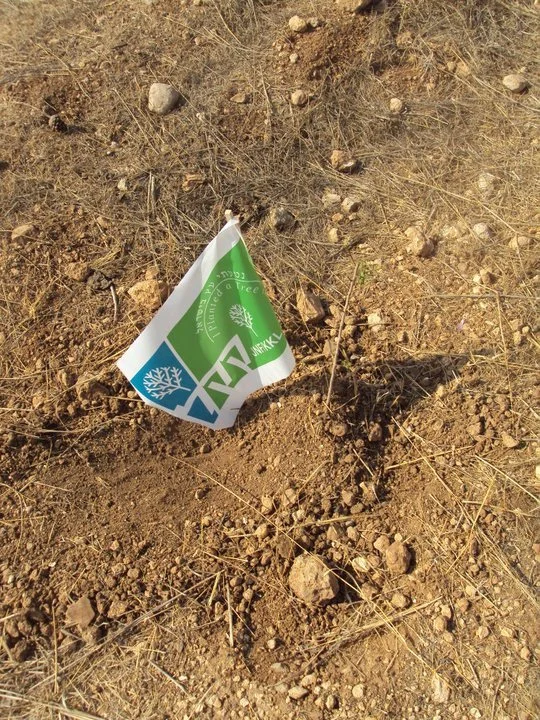 israel 14.jpeg