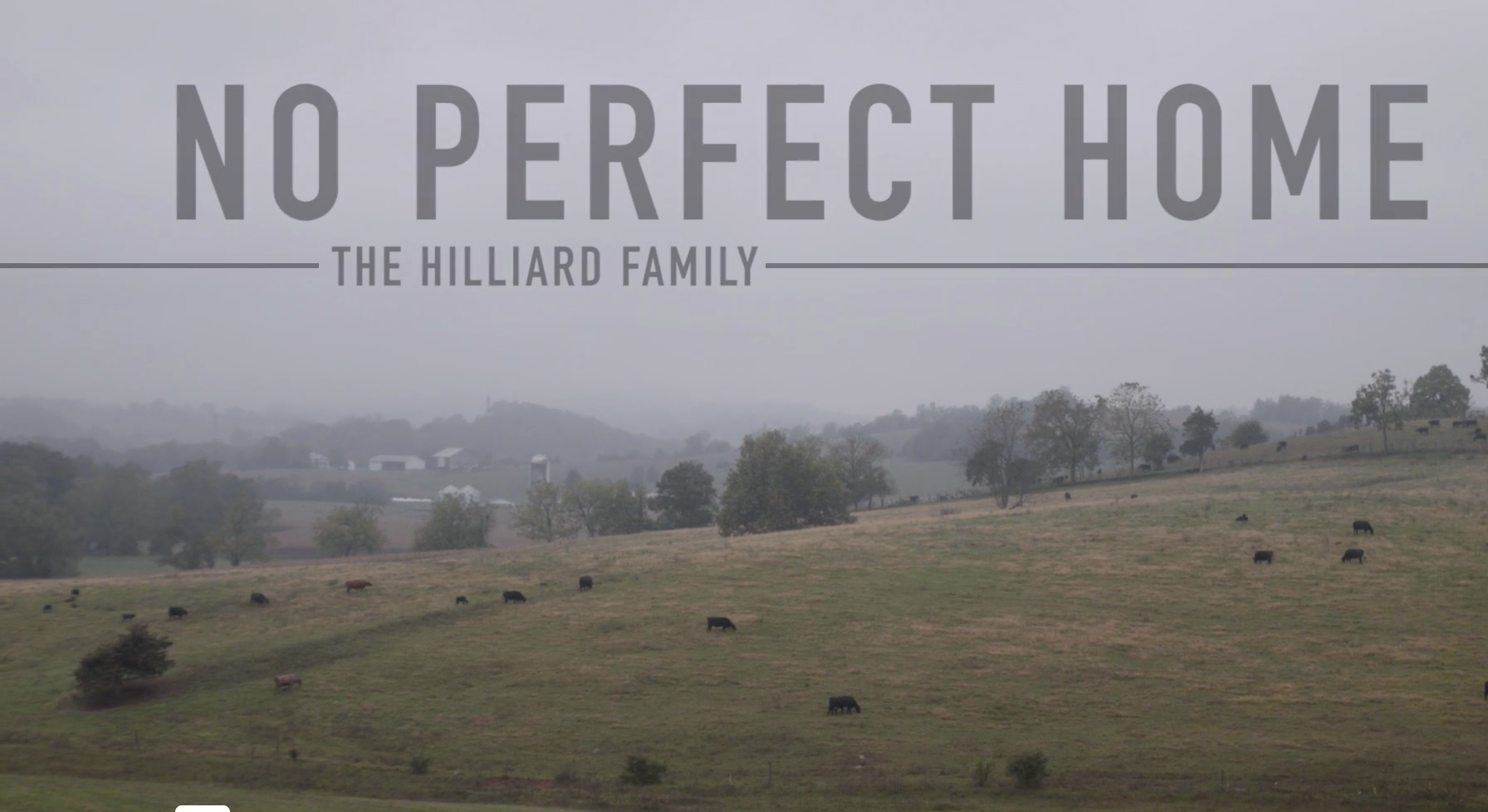 Screenshot 2023-05-02 at 2.32.35 PM.png