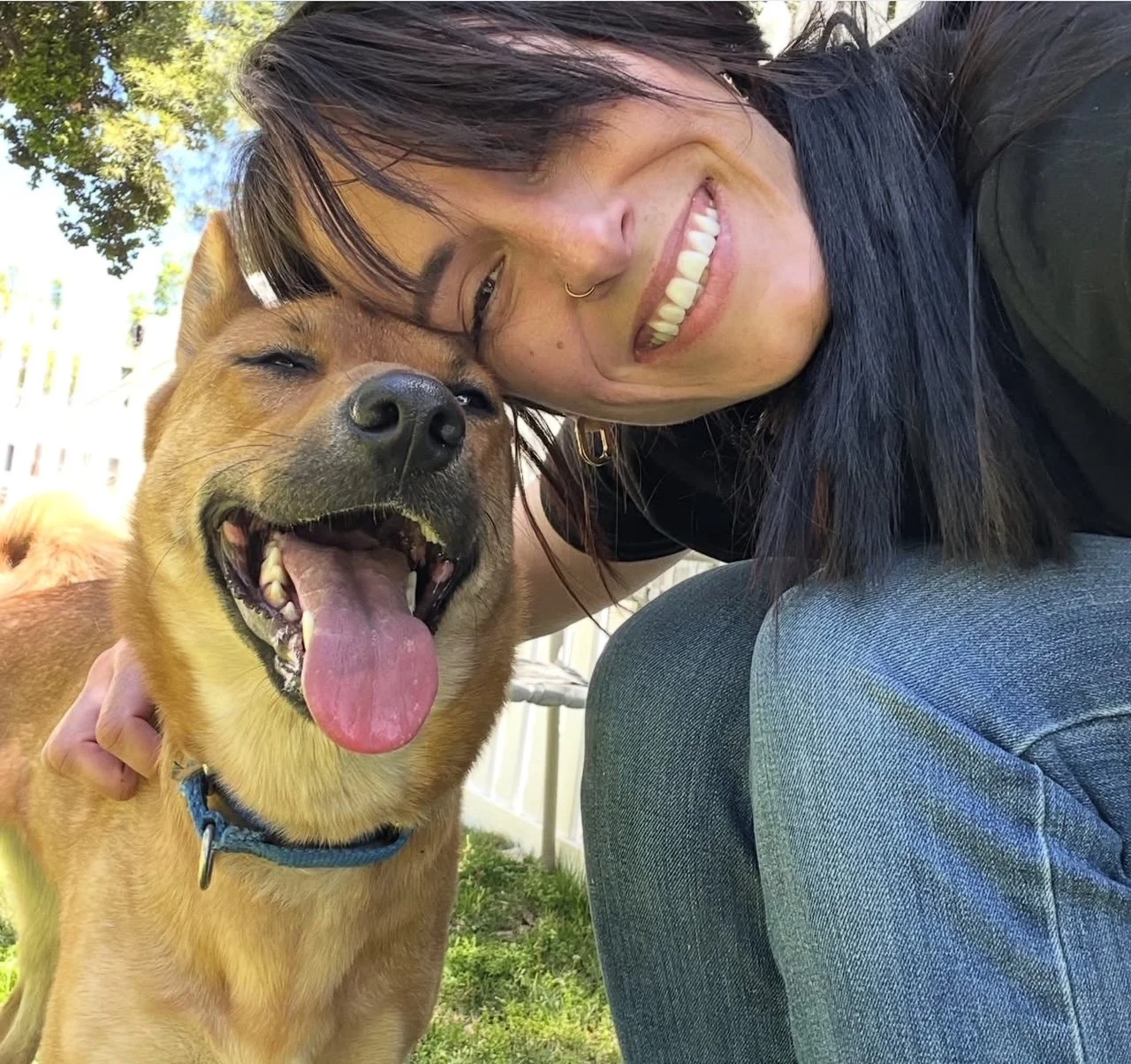 Helping Dogs Succeed Through Clear Communication and Consistent Boundaries