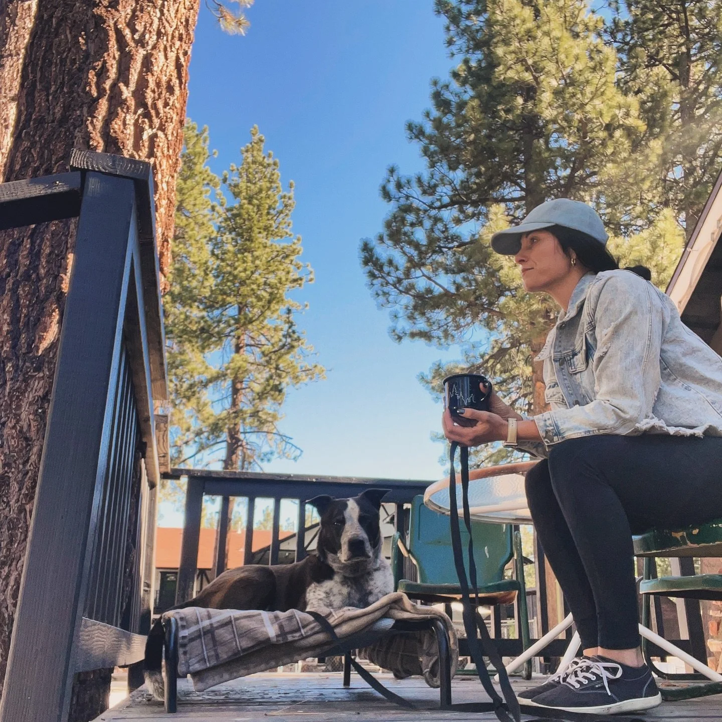 A few of my favorite things&hellip;☕️ 🐾 🌲 📖