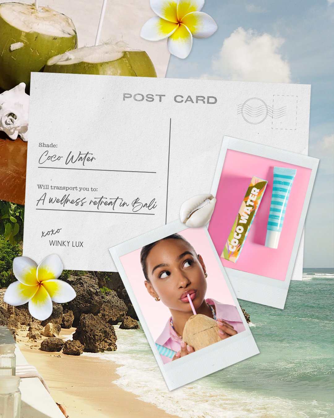 1_WL postcard_coconut.jpg