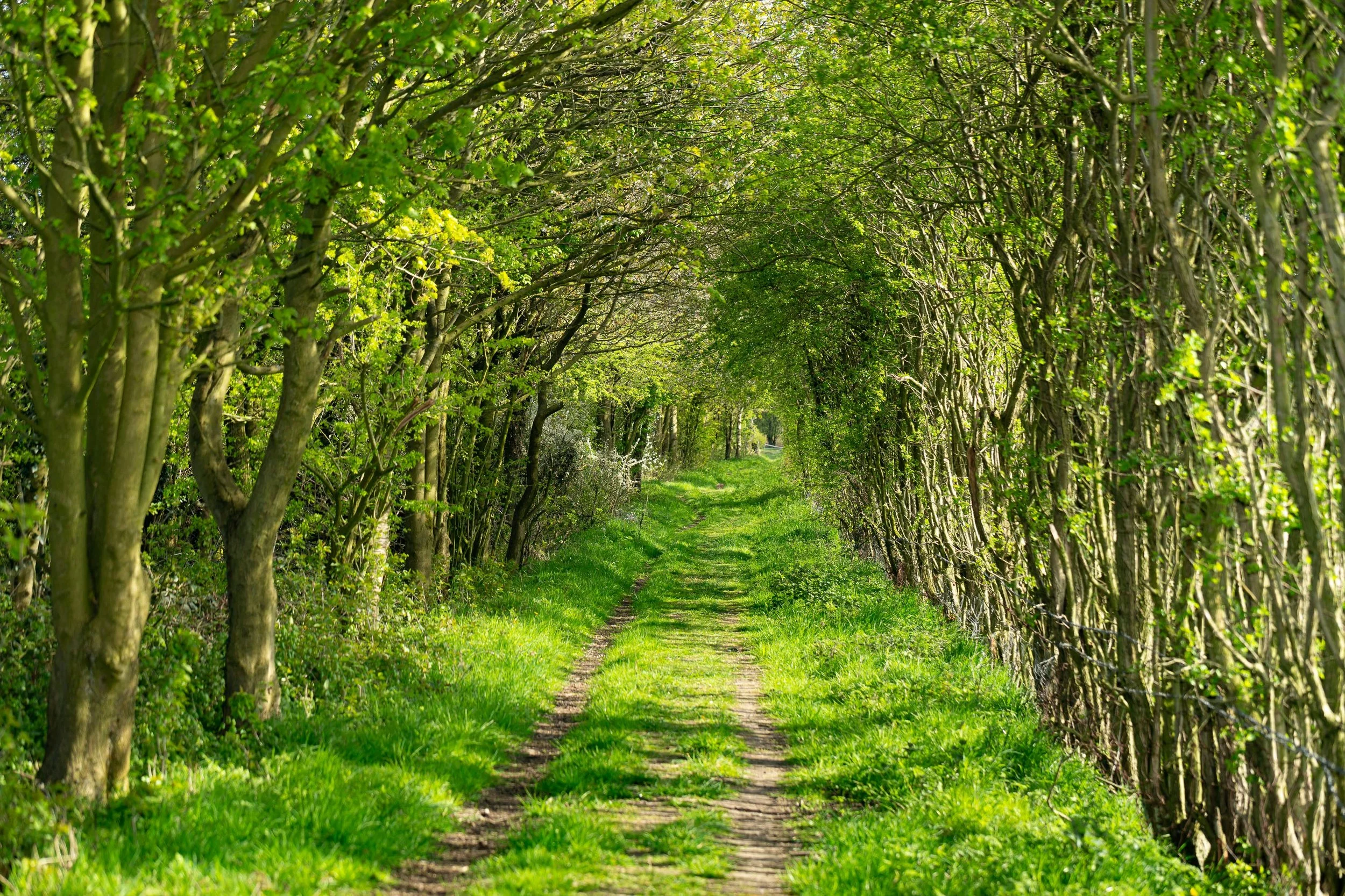 Walking One's Path