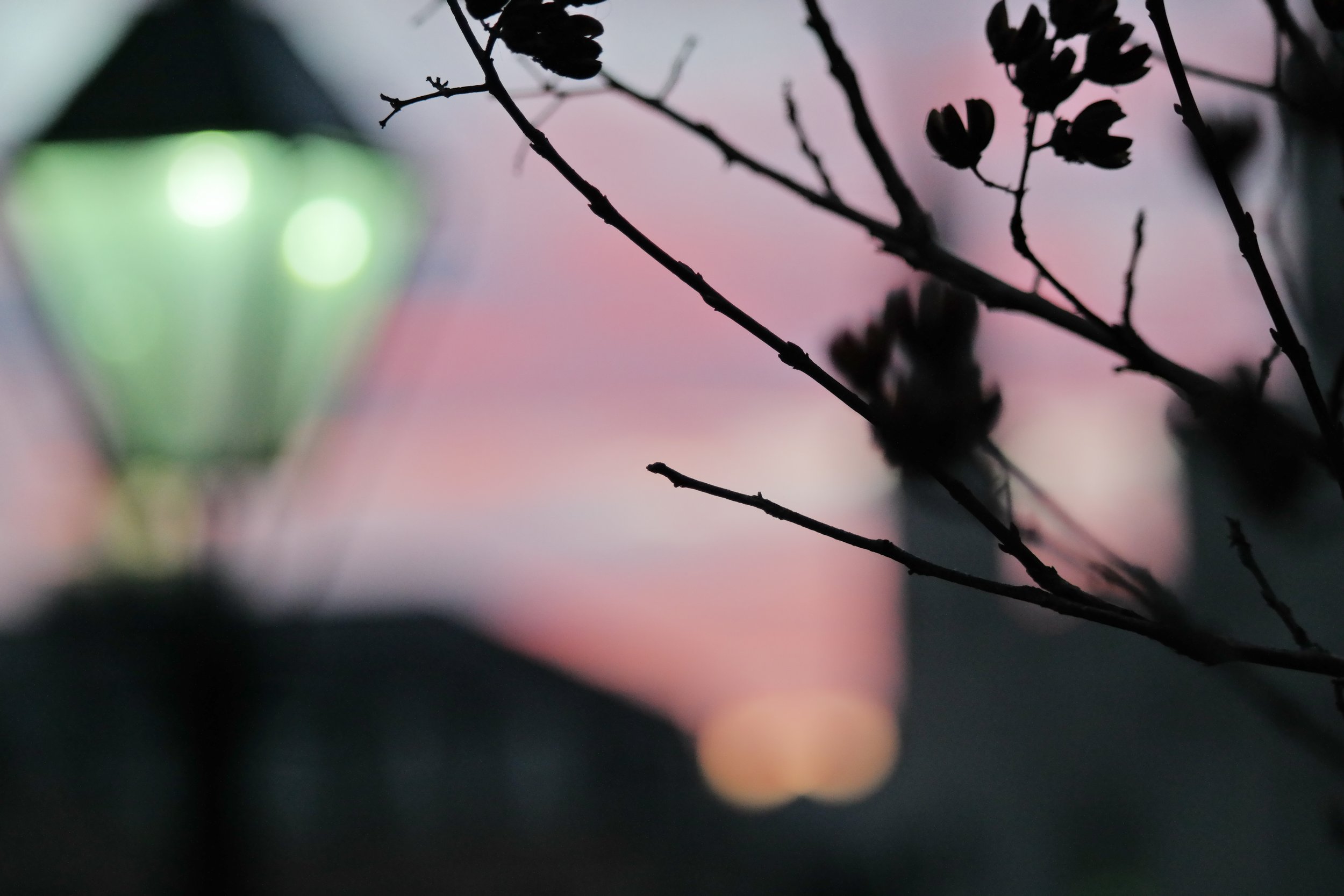 I Will Wait for you in the in Between