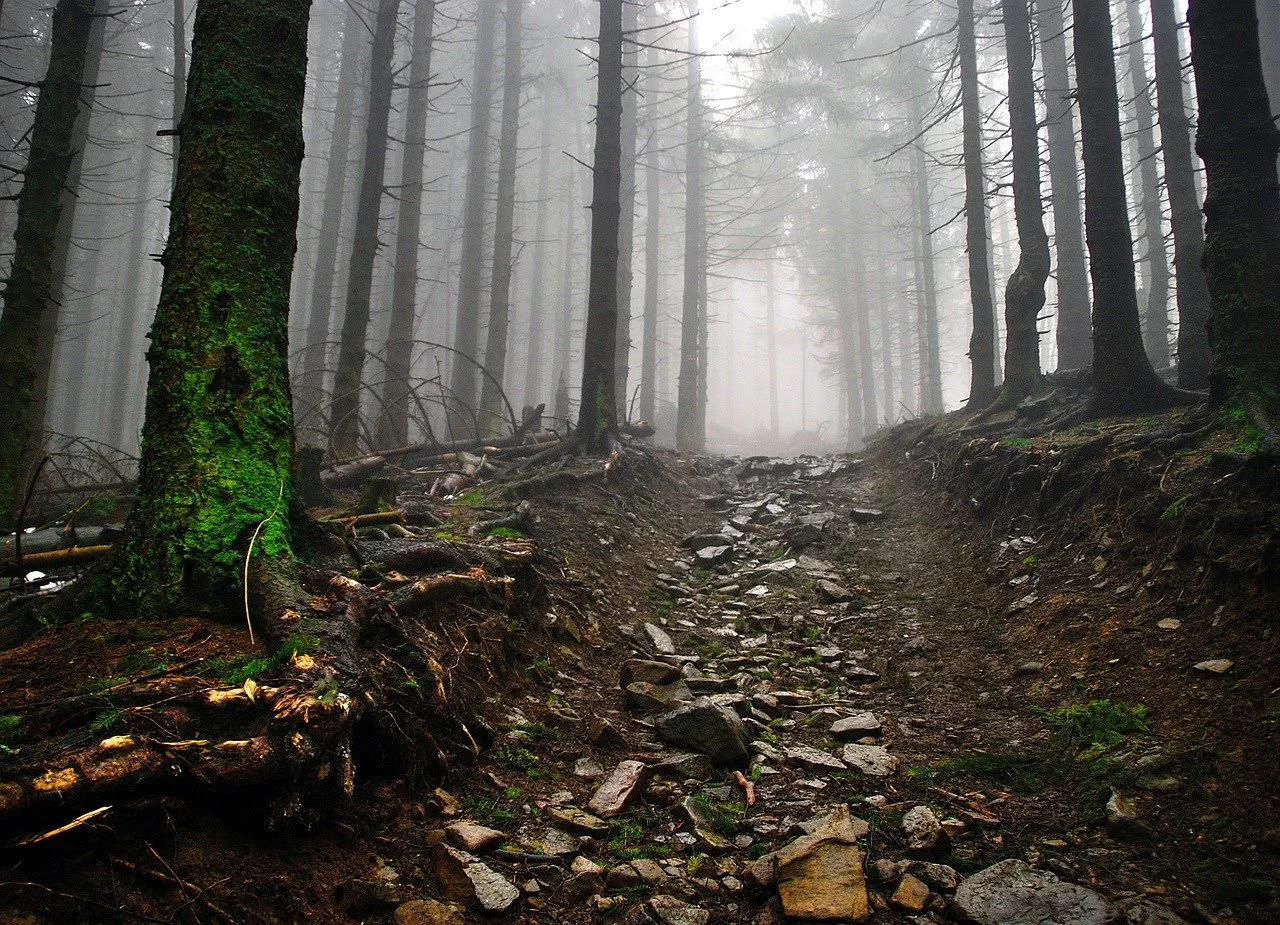 The Rocky Road
