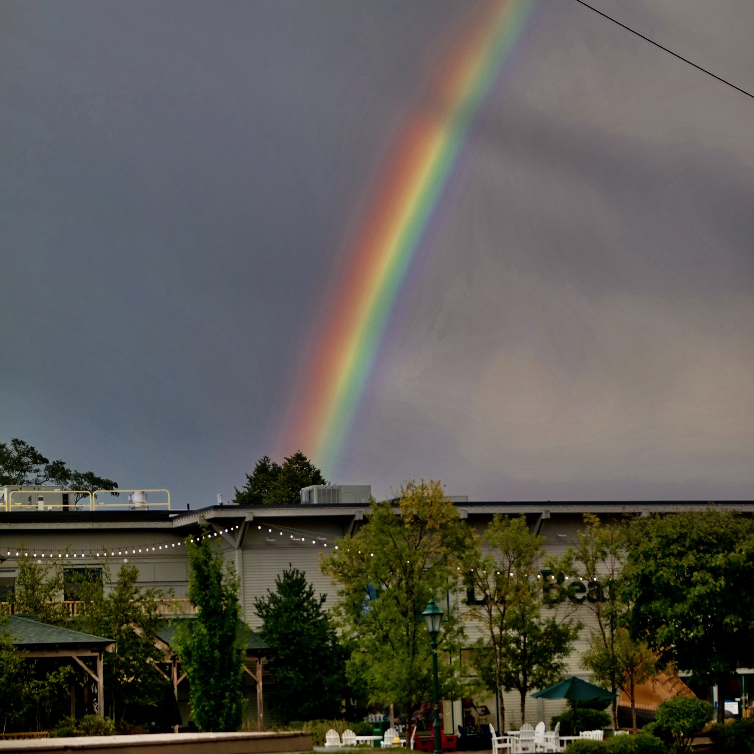 Every Road Trip Needs a Rainbow