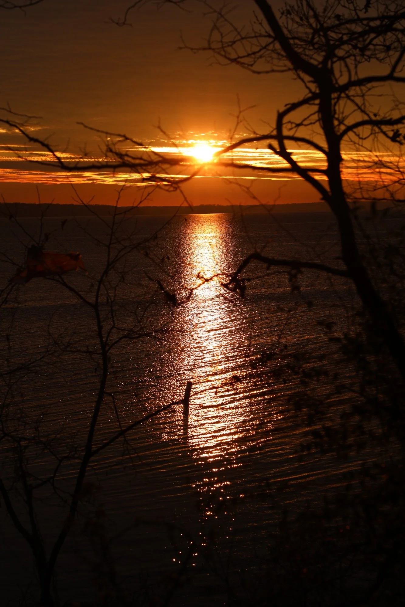 The Sun Sets but Rises Again
