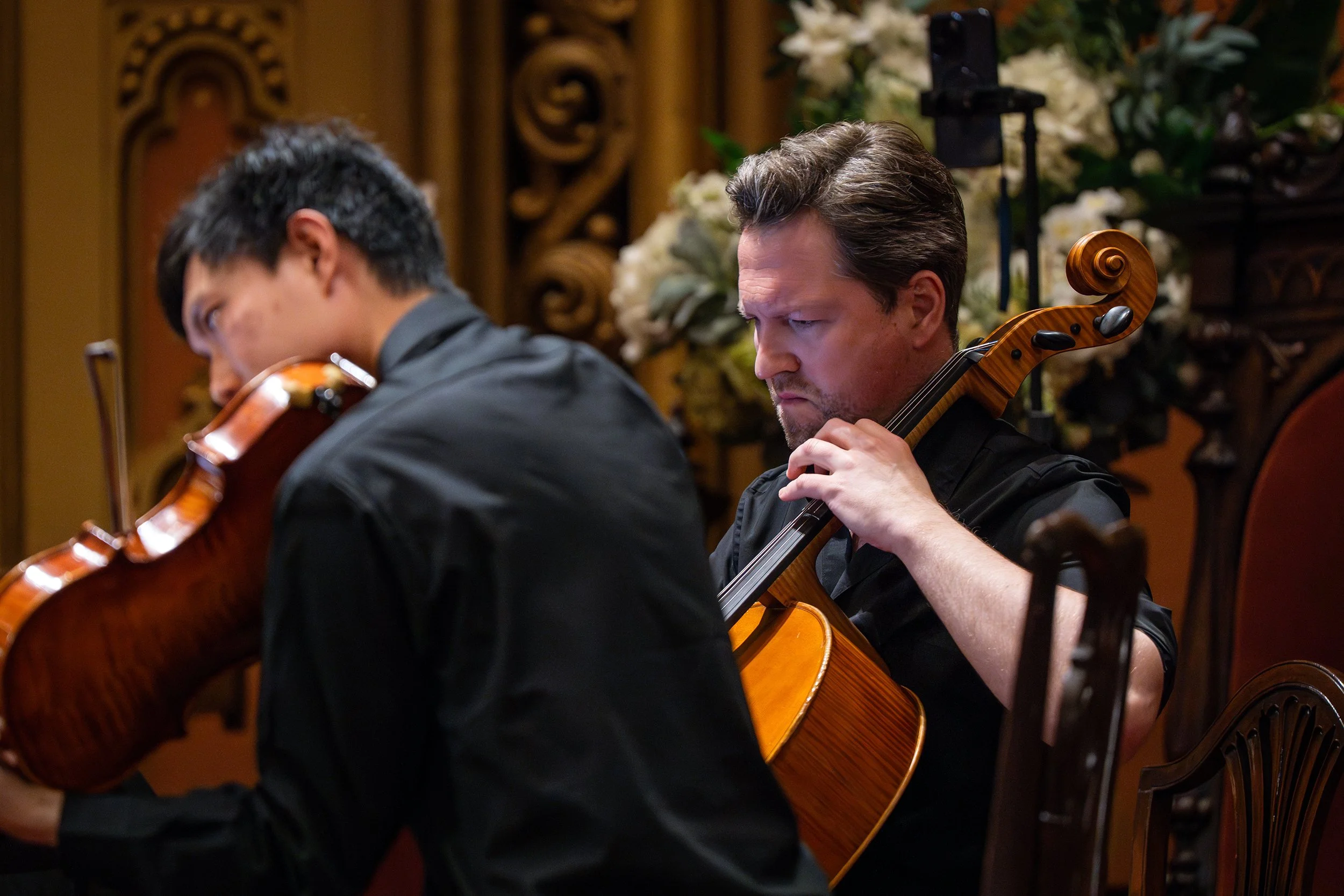 STRINGS_CONCERT_021.jpg