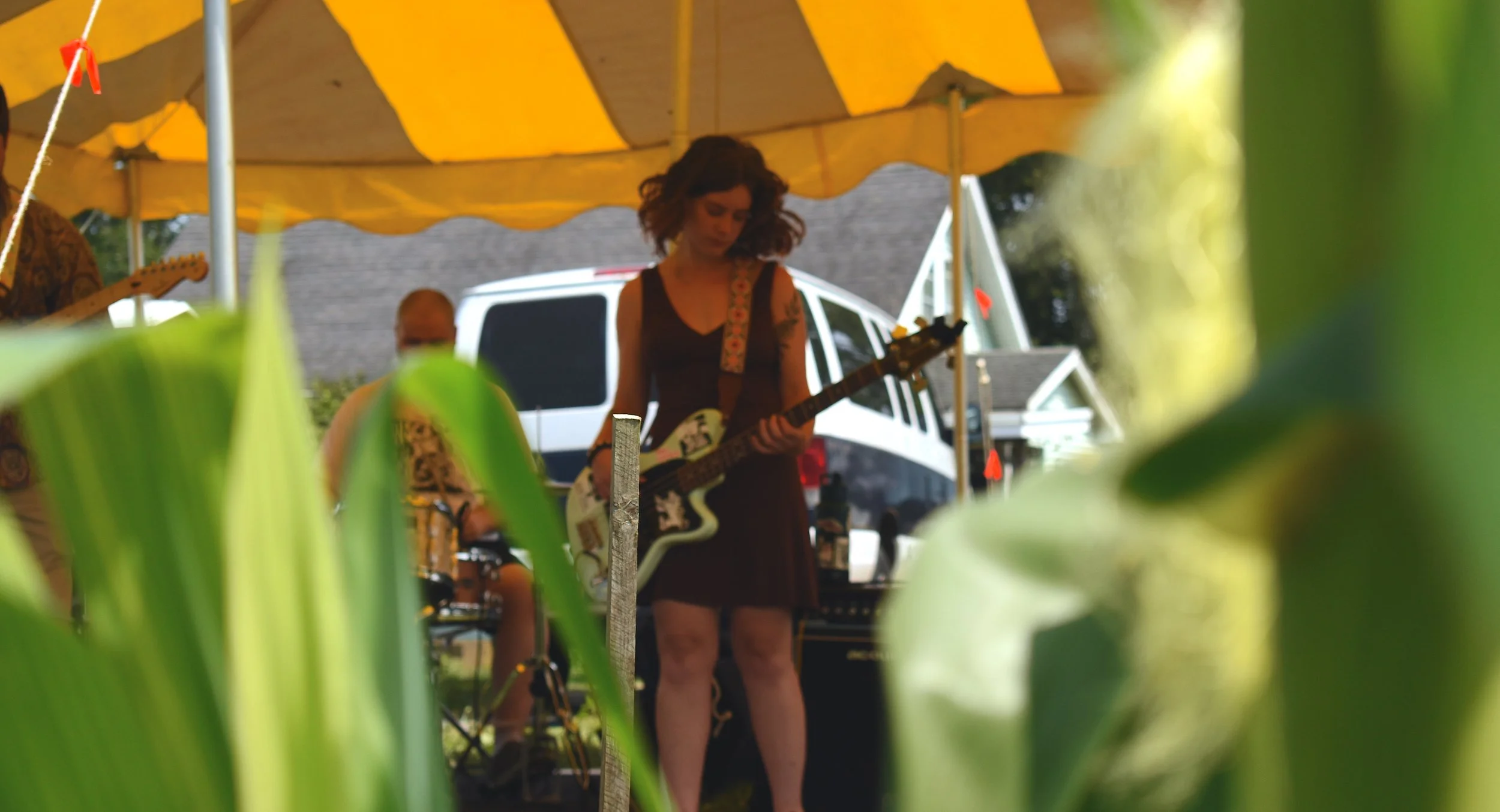 Watson Park @ Heron Pond Farm: 08/10/25