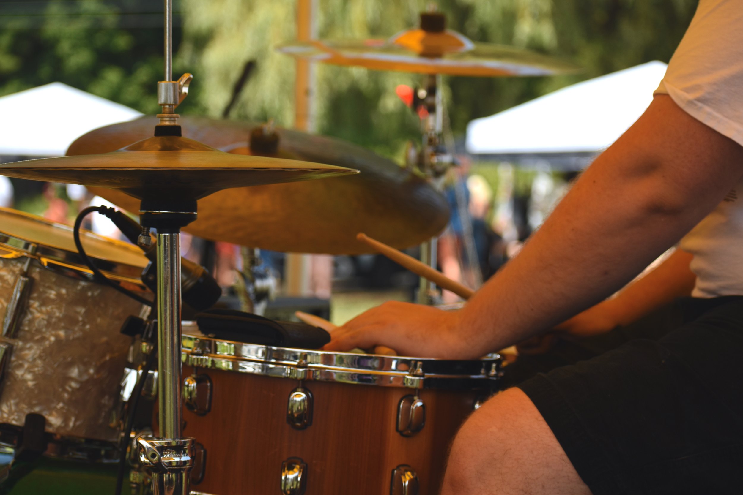 Watson Park @ Heron Pond Farm: 08/10/25