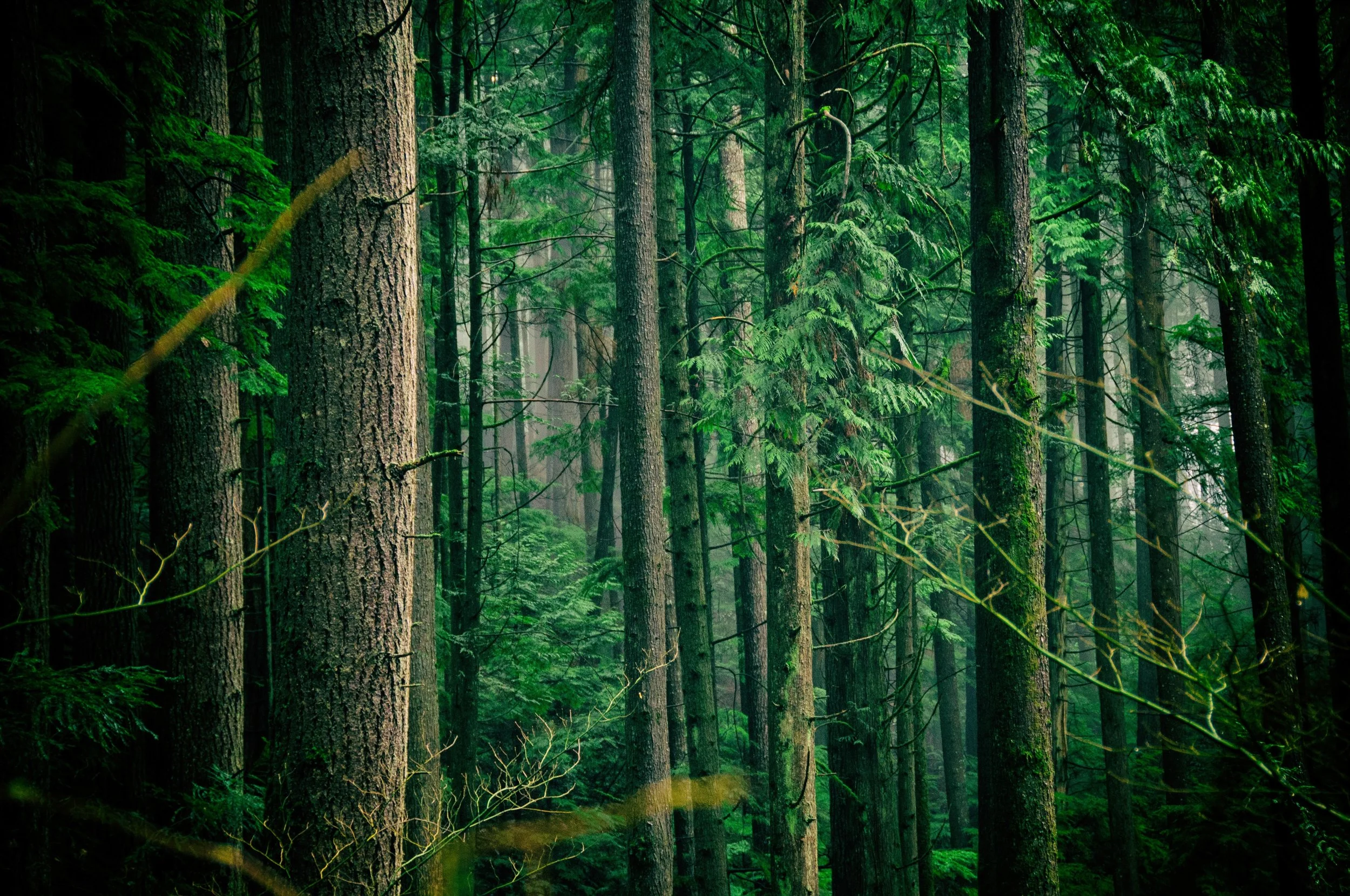 Alaska Wood Moulding