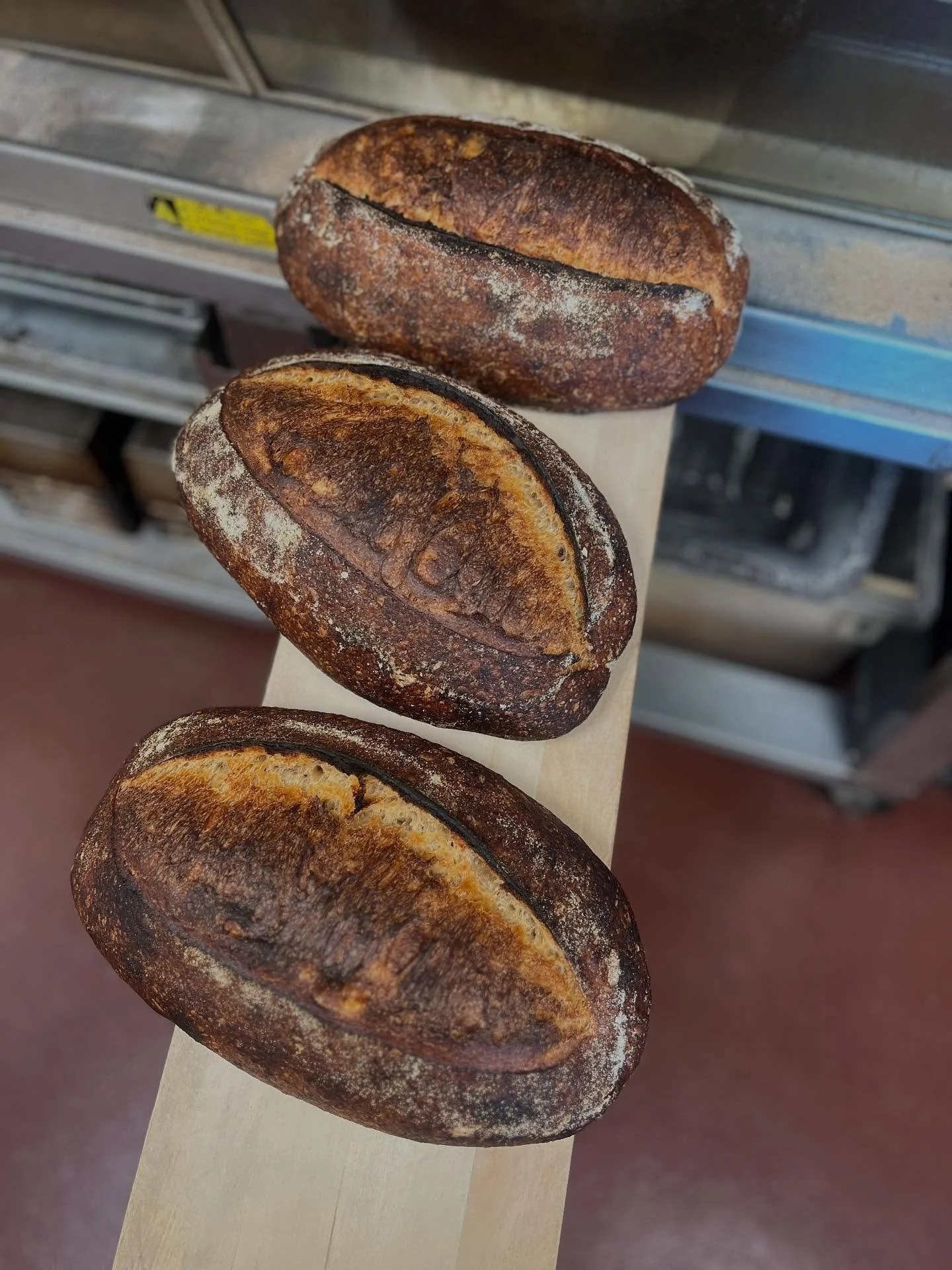 Fresh breads coming your way today!

Country loaf is 40% fresh-milled @gonzalessiemensfamilyfarm spelt and 60% @cairnspringmills Trailblazer. Really happy with how these turned out!

Lots of savory options: pimento heirloom tomato galettes, pie dogs 
