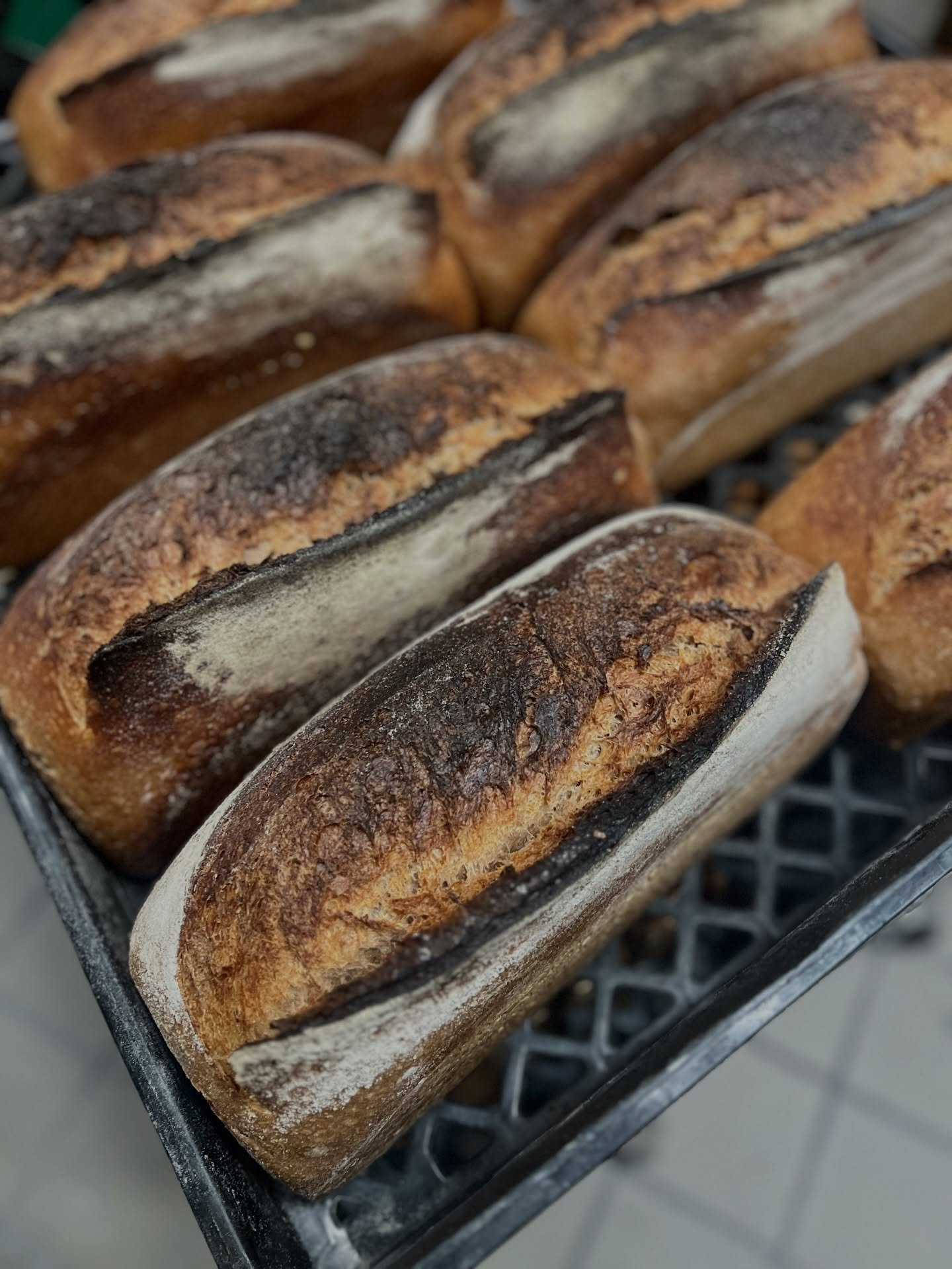 We&rsquo;re at the market today if you weren&rsquo;t sure! Sunny skies ahead but a busy morning so I&rsquo;ll have to be brief.

There&rsquo;s a honey whole wheat pullman loaf that&rsquo;s new on the menu today, as well a, basque cheesecake and lime 