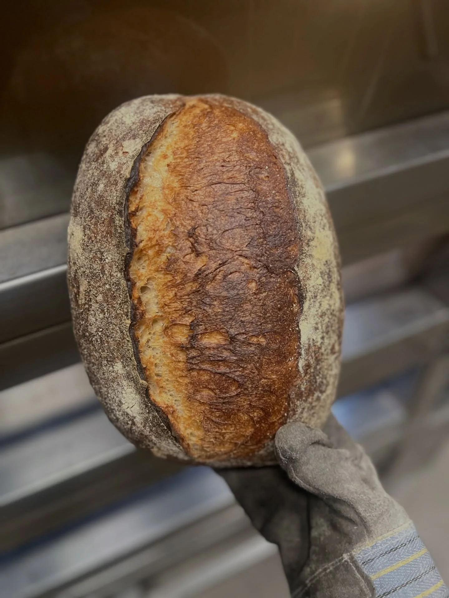 Lovely bake for the market today!

Tuesday 1/13

&bull;  Country Bread
&bull;  Country Sandwich
&bull;  Seedy Sando
&bull;  Honey Wheat Pullman
&bull;  Maple Pecan Scone
&bull;  Kimchi Cheddar Biscuits
&bull;  Earl Grey Coffee Cake
&bull;  Basque Che