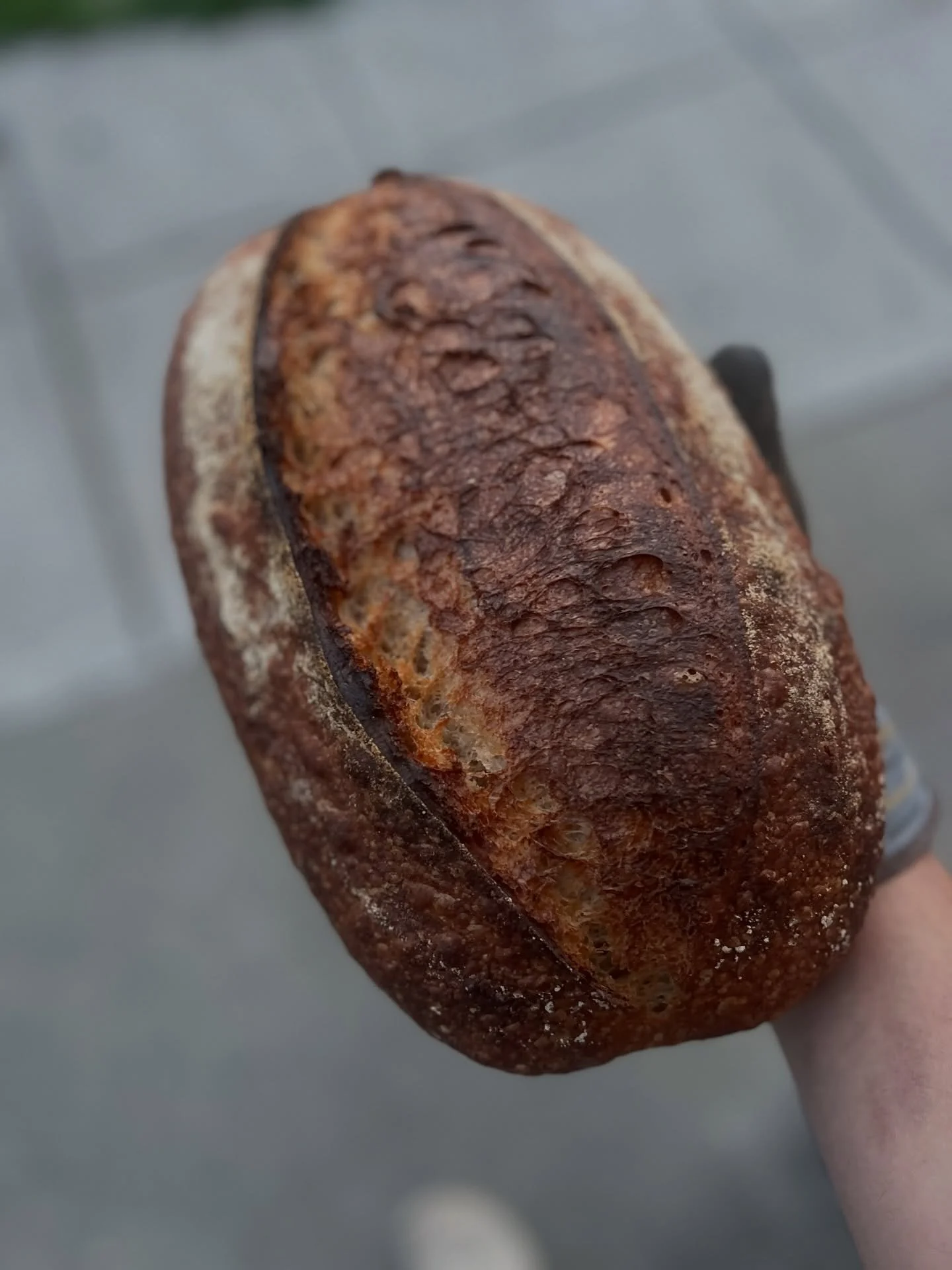 Good morning, bread fam!

We&rsquo;re excited to share that the results are in &mdash; out of 22 nominees, Night Heron Bread came out on top as the #1 bakery in Alameda Stars. Thanks to all for your endless support. We&rsquo;re super stoked.

Saturda