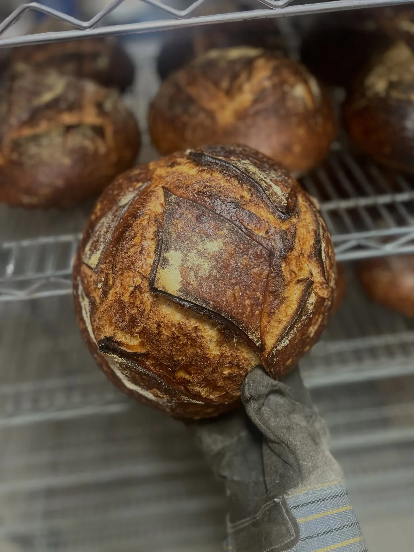 We&rsquo;re back at the market this morning and hoping to see you there. Loads of sourdough to fuel your weekend including jalapeno cheddar which is a total favorite.

A little space update is that we have had a few unfortunate set backs that are cau