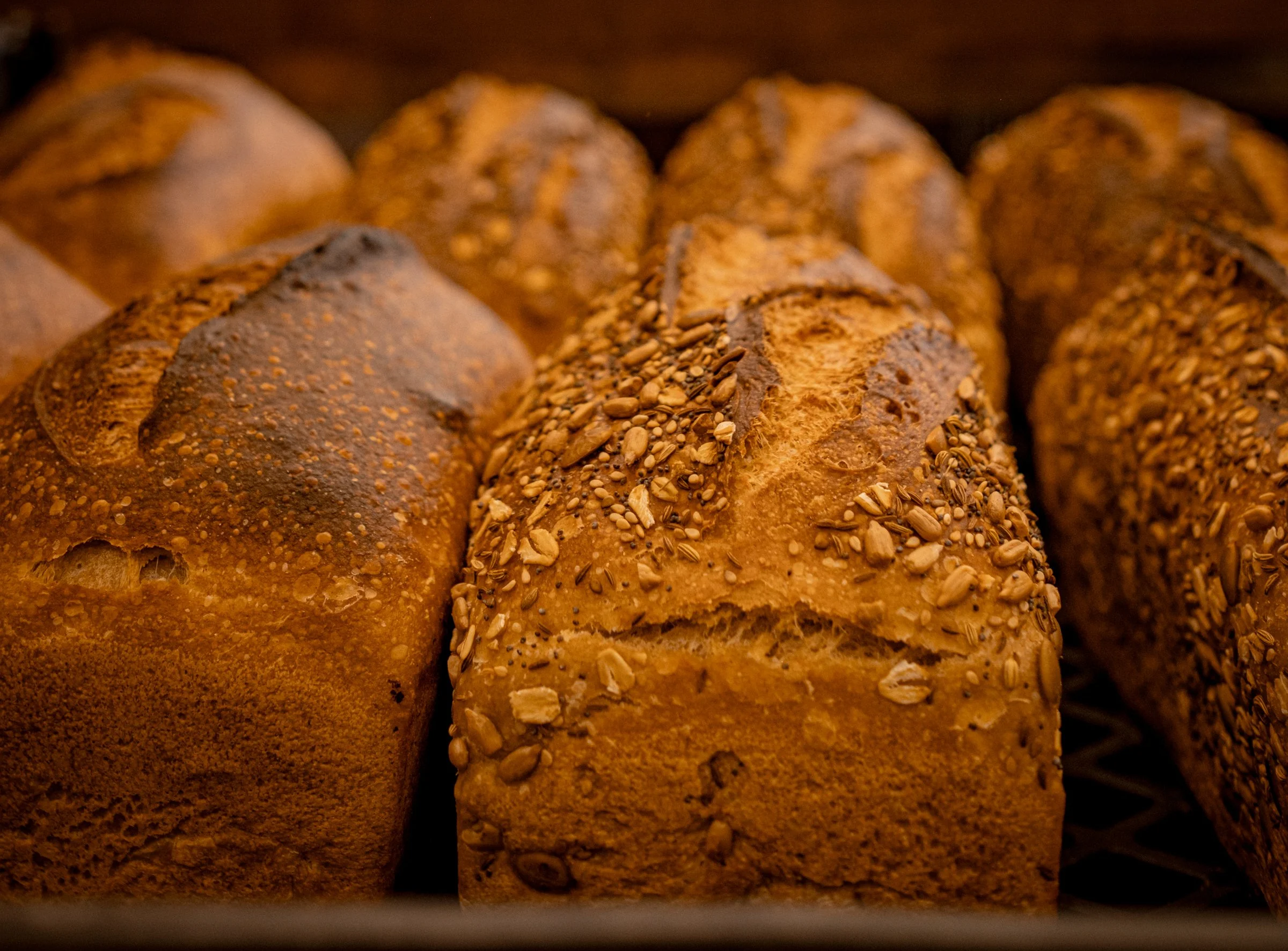 JLP2025-NightHeronBread-00204 (1).jpeg