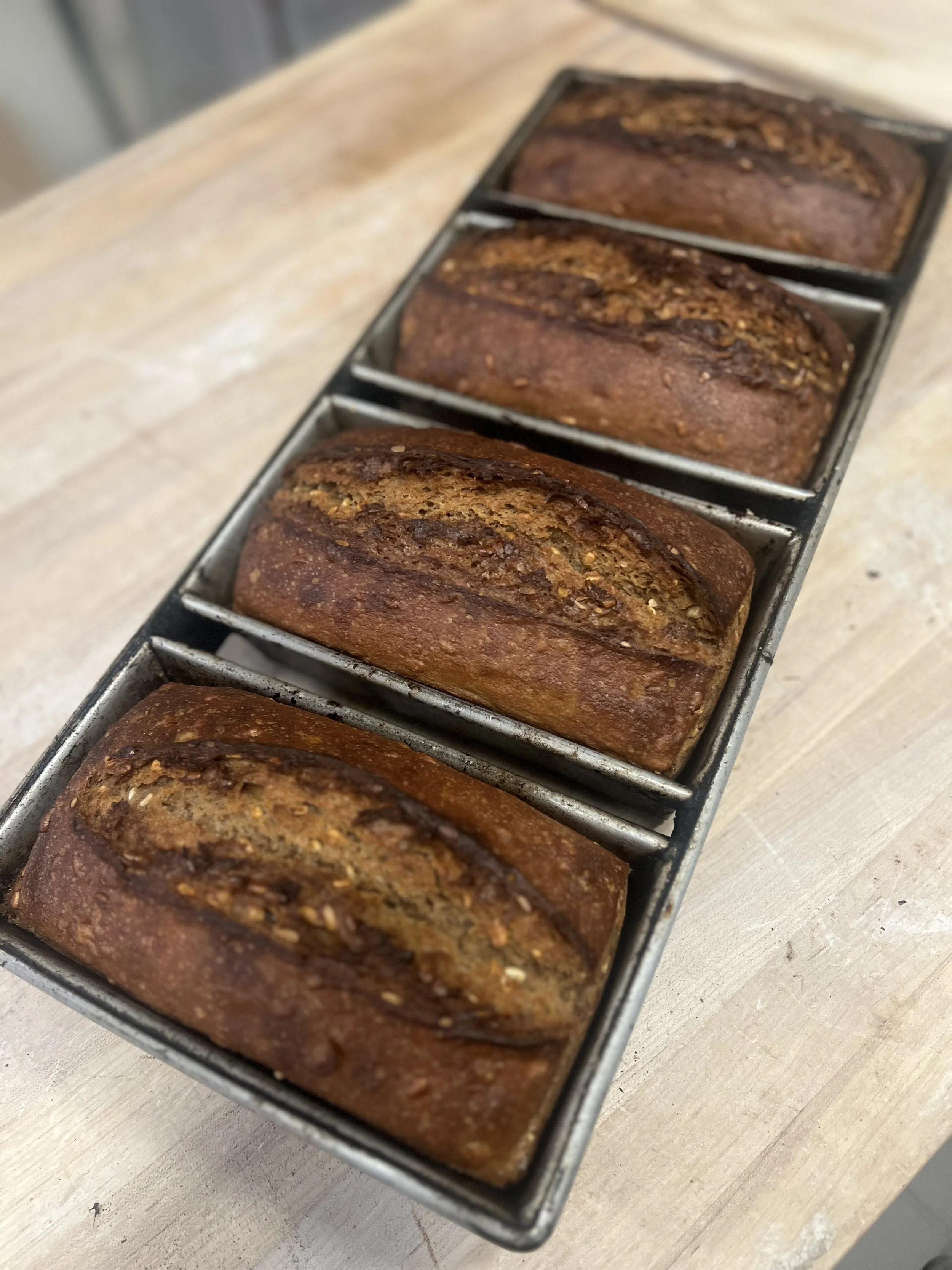 IMG_7880.jpeg