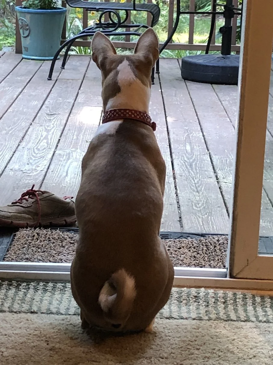 Are You as Reactive as Akila?