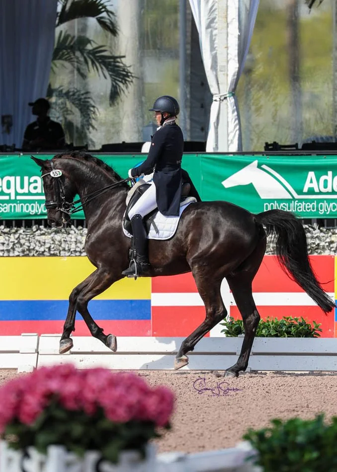 USEF Festival of Champions 