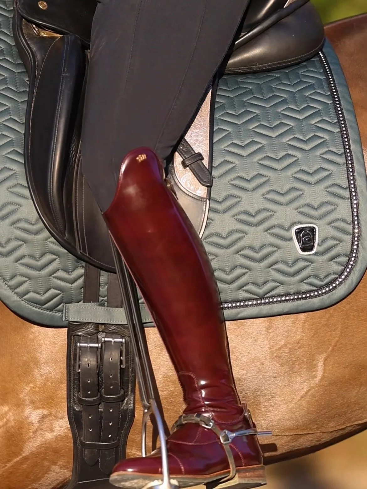 Current obsession❤️&zwj;🔥 @thedistinguishedriderllc Kingsley&rsquo;s in the perfect shade of burgundy. Not to mention, the perfect fit and durability! Contact Marissa to find your perfect pair! 

📸: @emmaclairecollective 
#kingsleyriding #dressageb