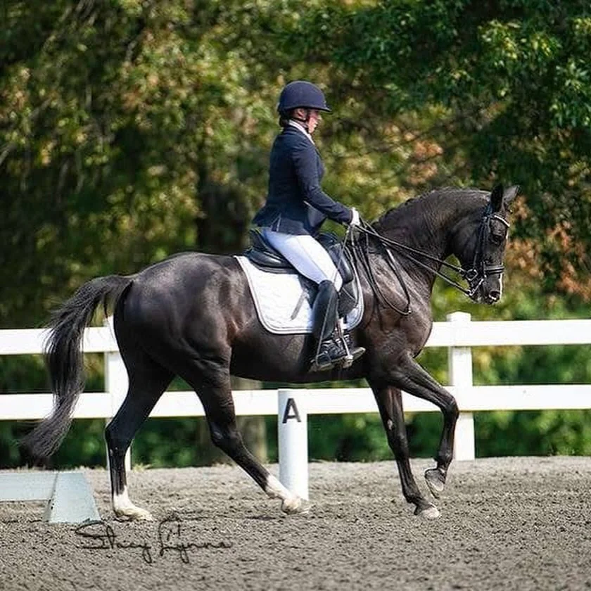 📣 Dancer Dressage has select openings for riders of all levels with our assistant Melissa Reese. Melissa is a USDF Bronze, Silver, and Gold medalist.🏅She has been with us here at Dancer Dressage for over two decades and is especially talented at th