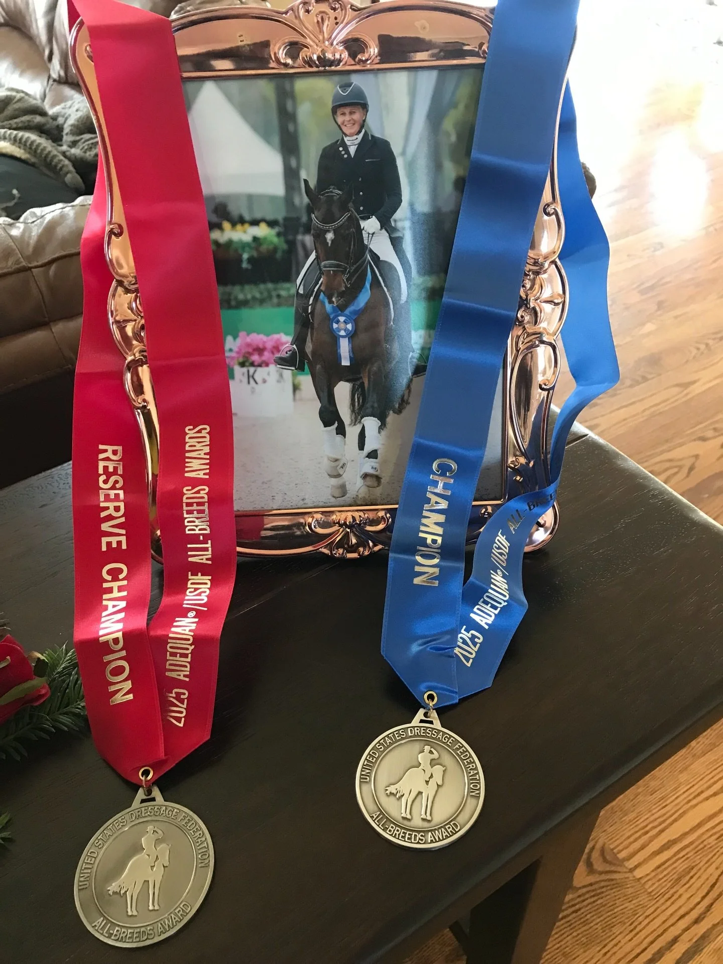 Korona sent us an extra Christmas gift winning the USDF All-Breeds Swedish Warmblood award for PSG and I1 freestyle Reserve Champion for I1! I am so thankful for the team of people who have supported us this year!  Thank you Pat Demas and huge congra