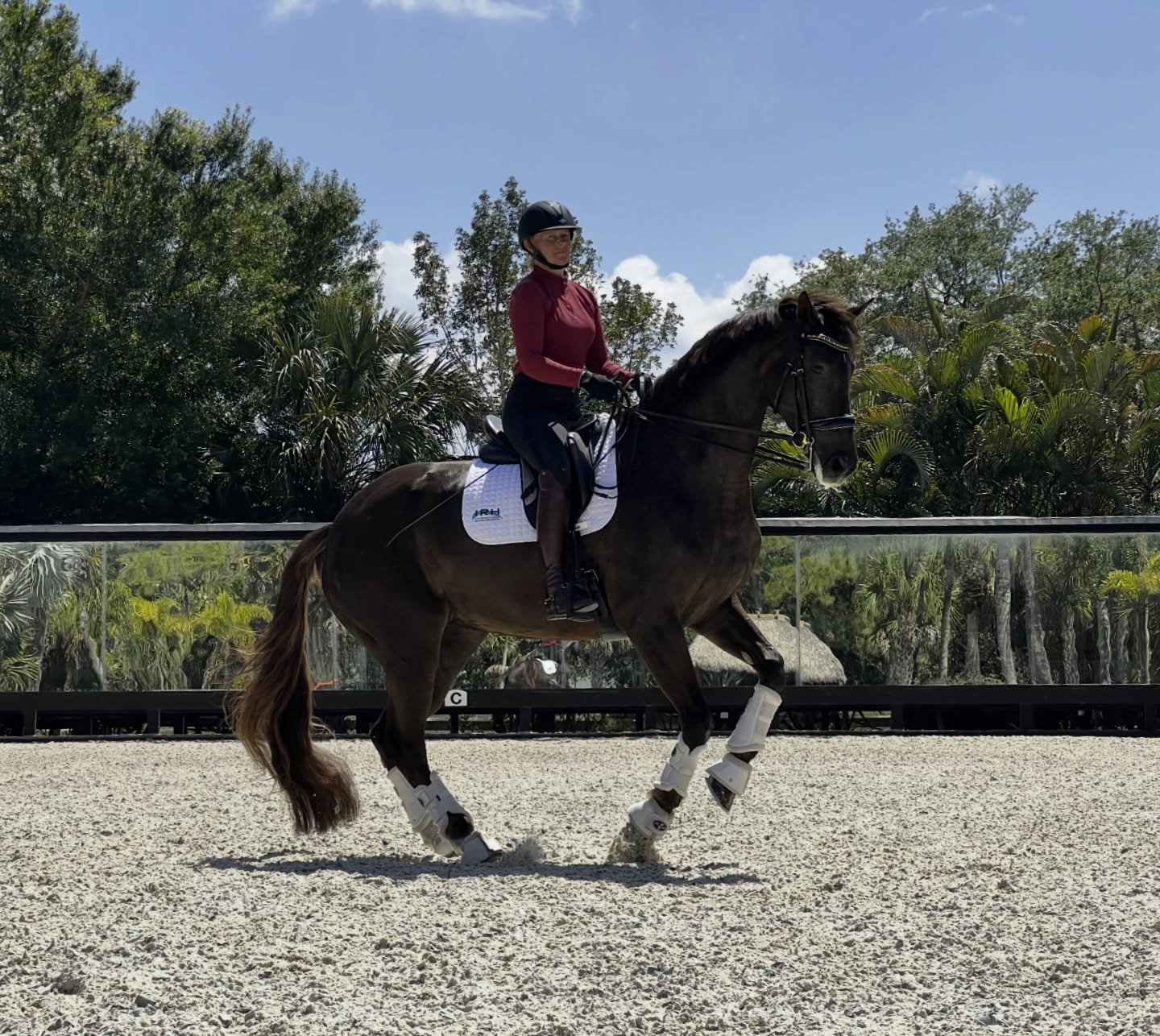 Thank you IRH for sending me their new wide-brim helmet! Love the extra protection from Florida sun ☀️ without compromising safety! Check them out on the #irhequestrian website!