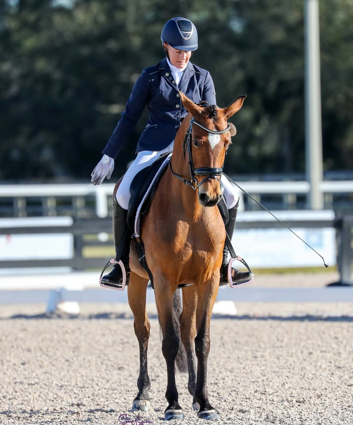 Sold! 🍾 To the most perfect home! 🥰 Congratulations to the new owner of &ldquo;Brandi&rdquo;! Thank you @epetruch for your trust and @katrinasadis for helping make this match! We will miss having this wonderful mare in the barn!