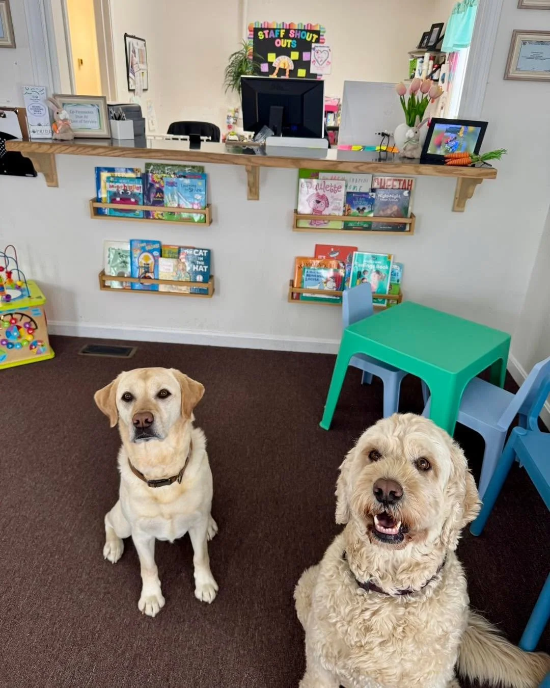 Our clinic help has officially grown by four paws 🐾
Please welcome Ollie, the newest (and fluffiest) member of the Pride Family! She&rsquo;s been hard at work today learning the ropes from our OG dog, Tucker, who has proudly stepped into his role as